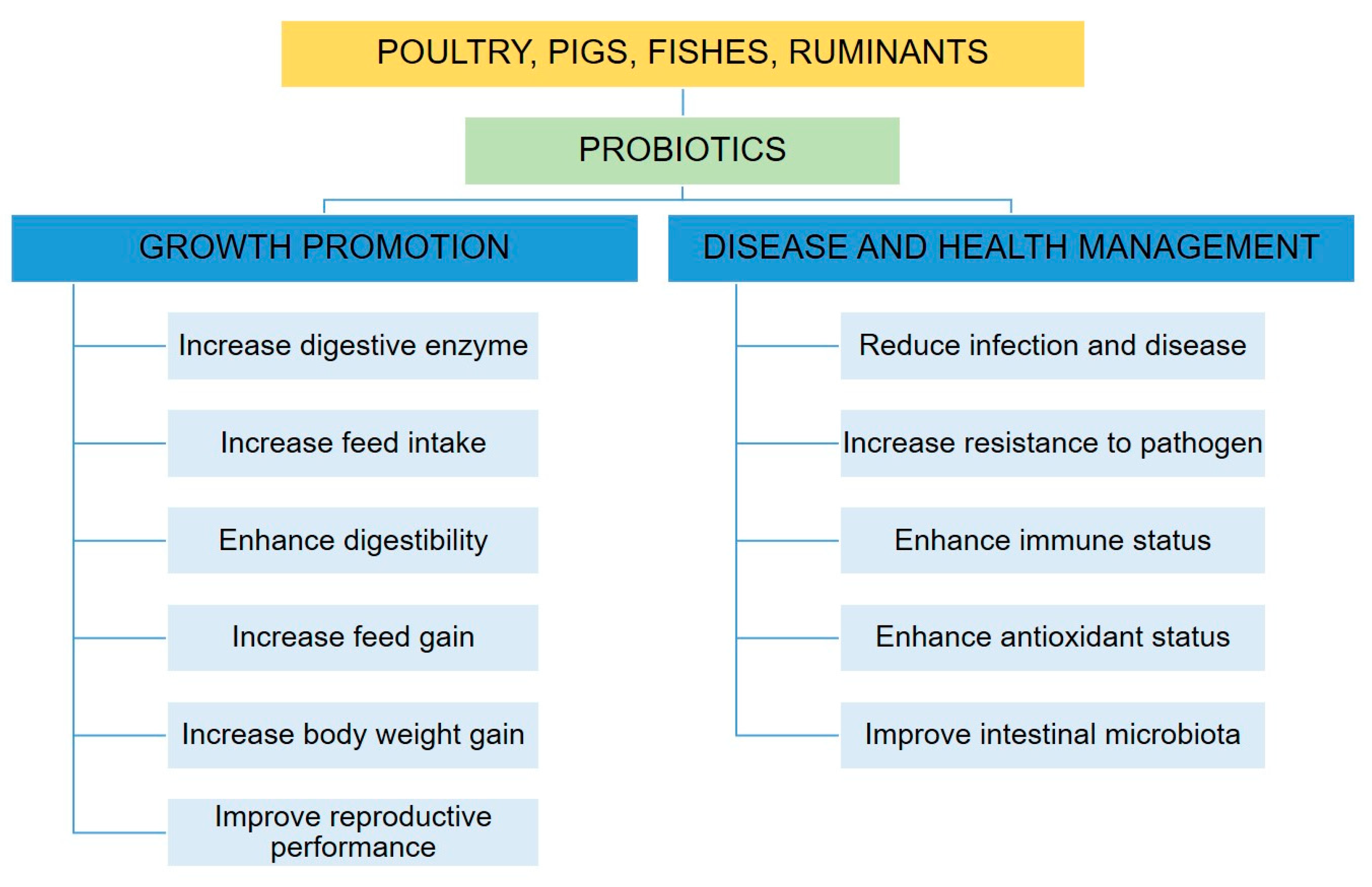 Encyclopedia 03 00040 g004 Encyclopedia 03 00040 g004
