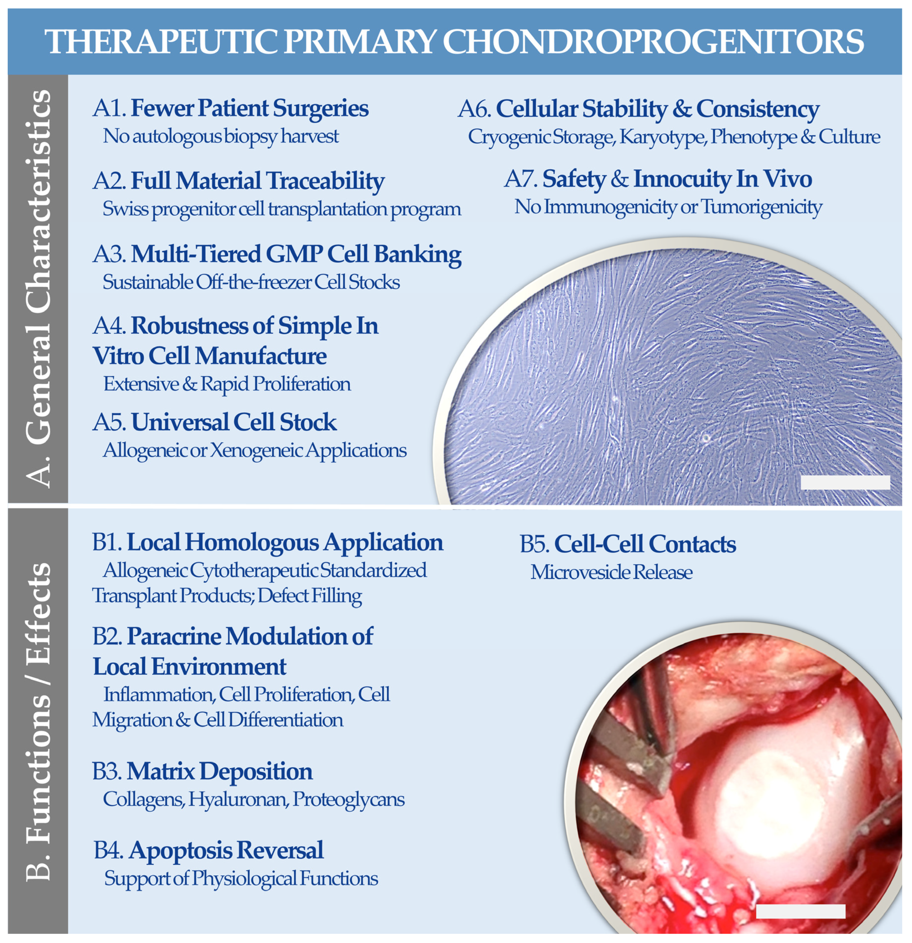 Encyclopedia 03 00045 g004 Encyclopedia 03 00045 g004
