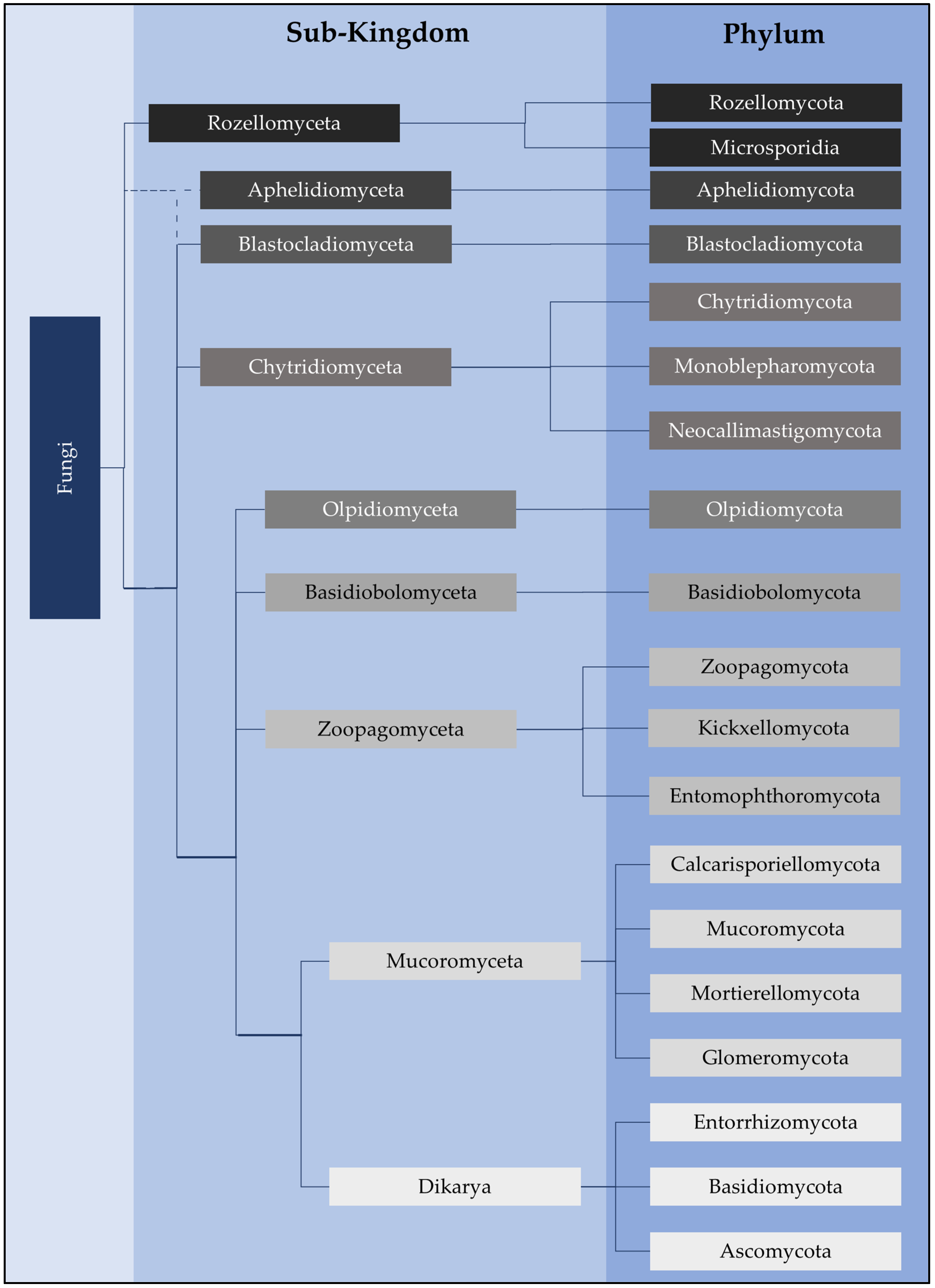 Encyclopedia 03 00046 g001 Encyclopedia 03 00046 g001