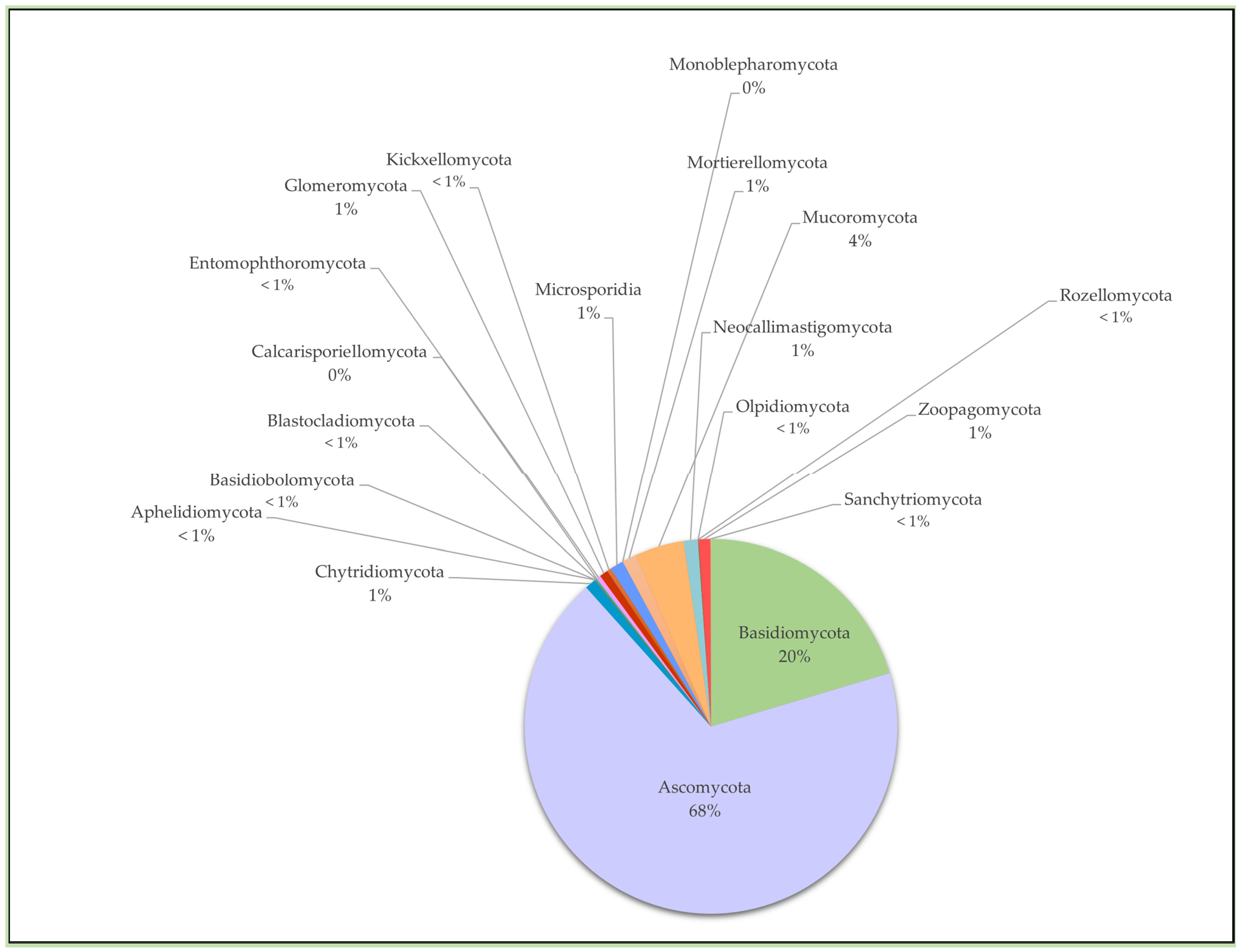 Encyclopedia 03 00046 g004 Encyclopedia 03 00046 g004