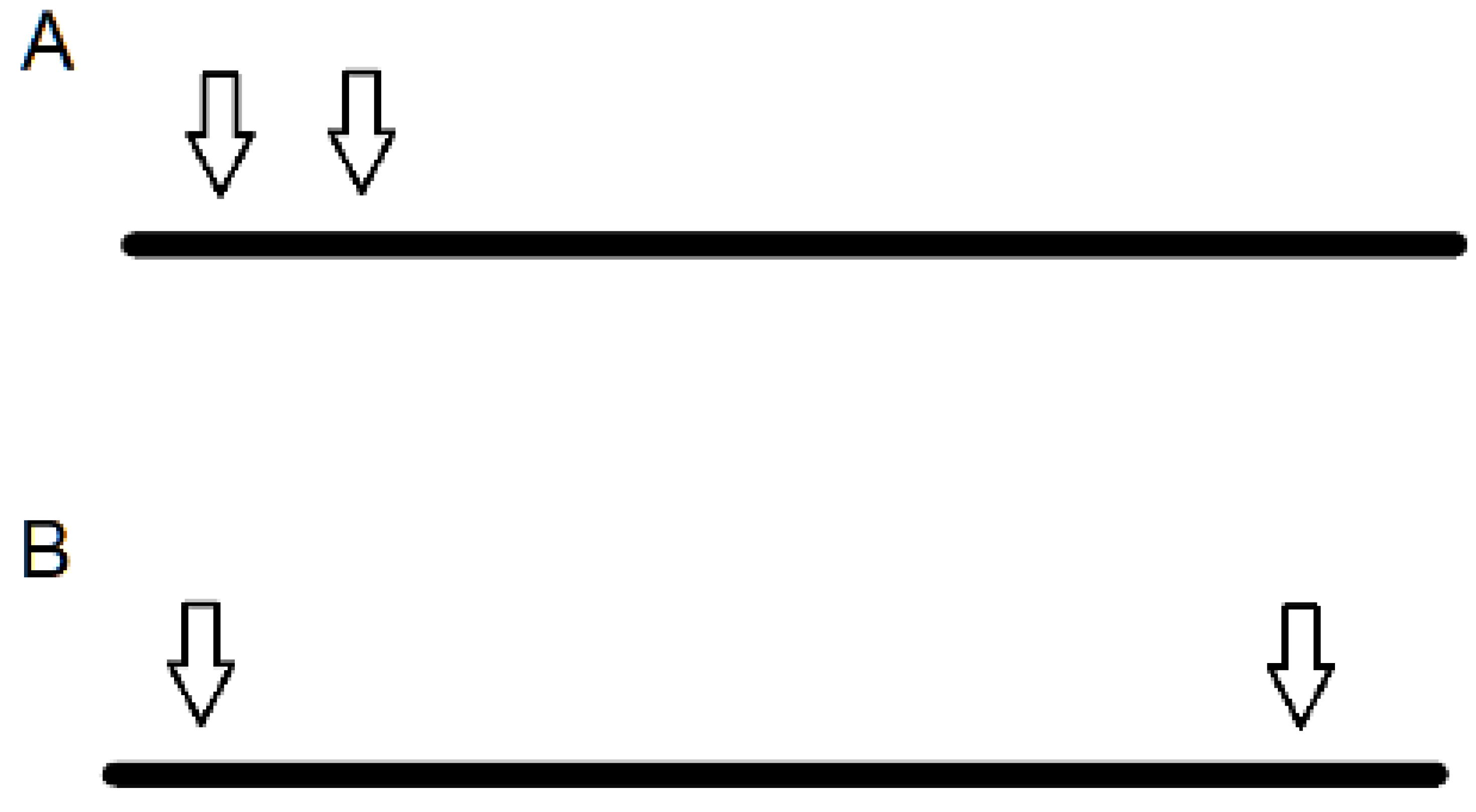 Encyclopedia 03 00049 g002 Encyclopedia 03 00049 g002