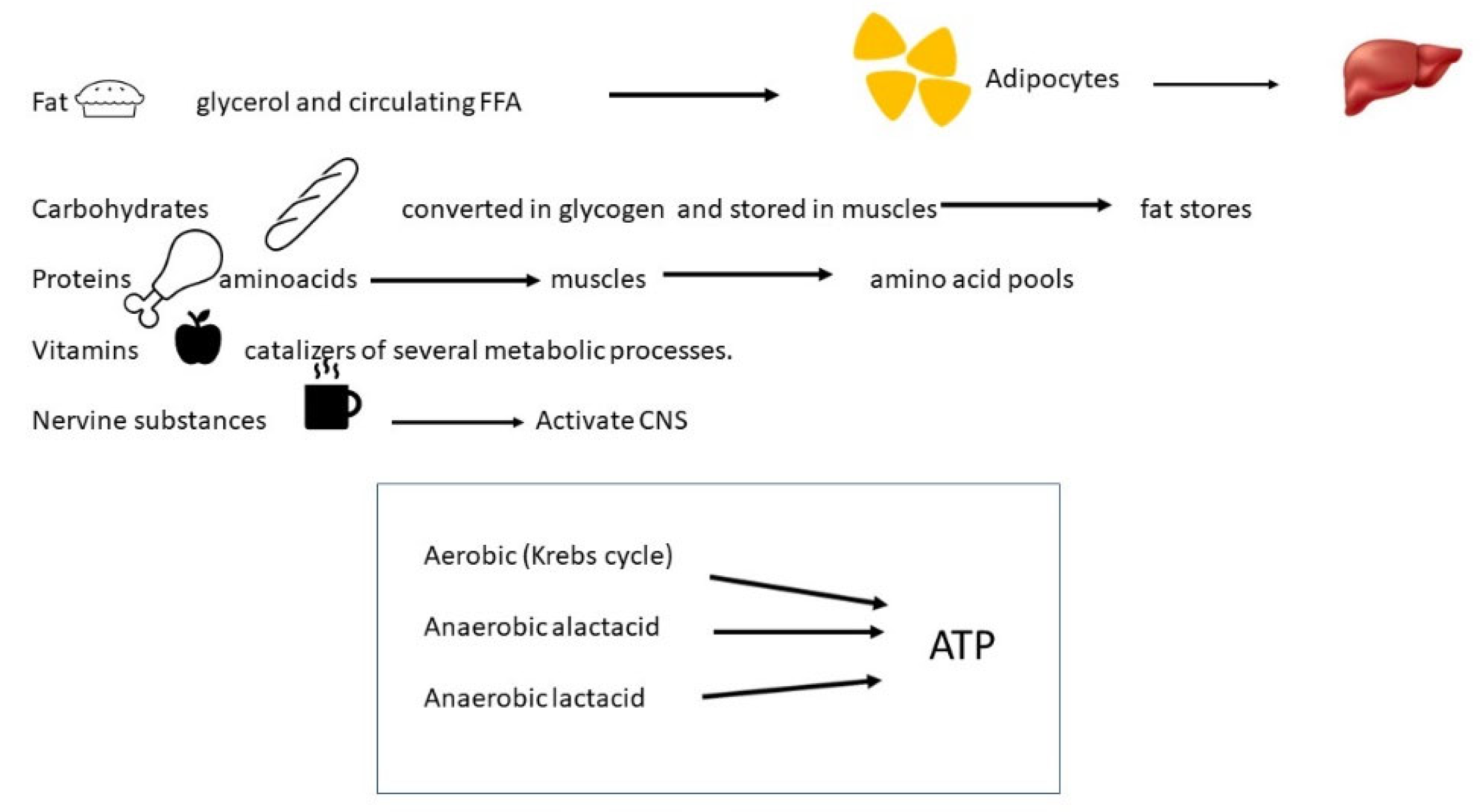 Encyclopedia 03 00050 g001 Encyclopedia 03 00050 g001