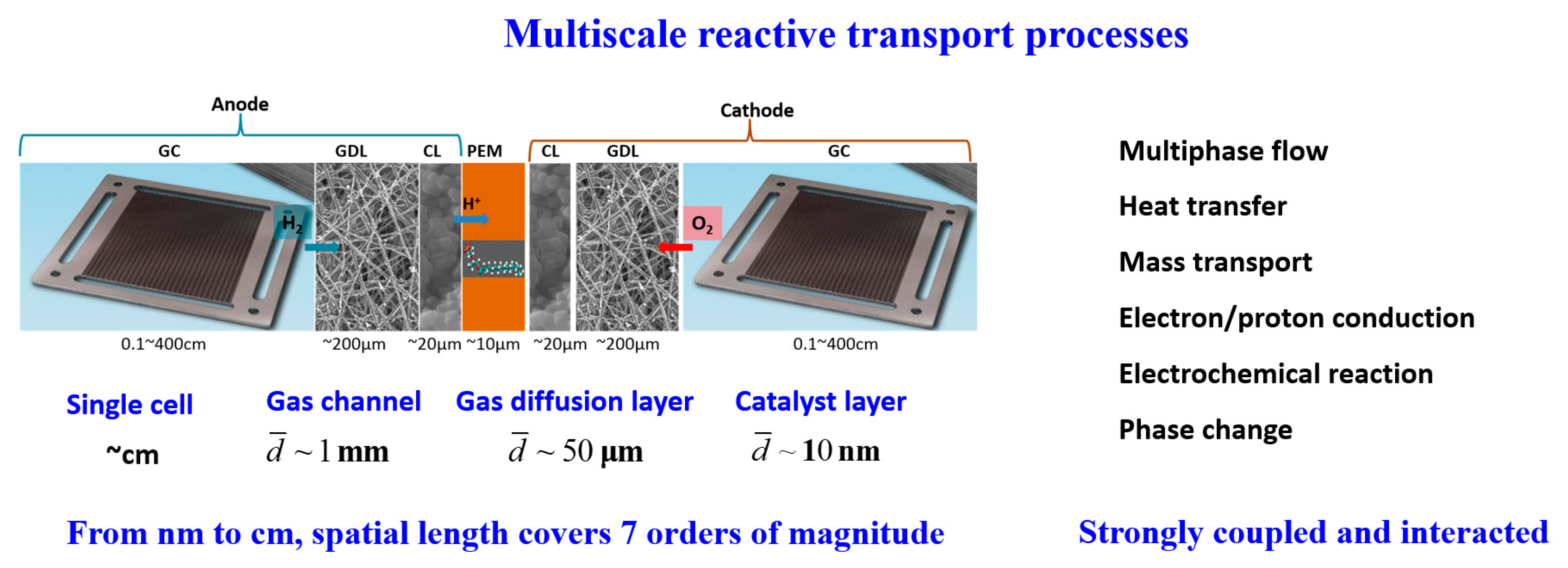 Encyclopedia 03 00054 g001 Encyclopedia 03 00054 g001