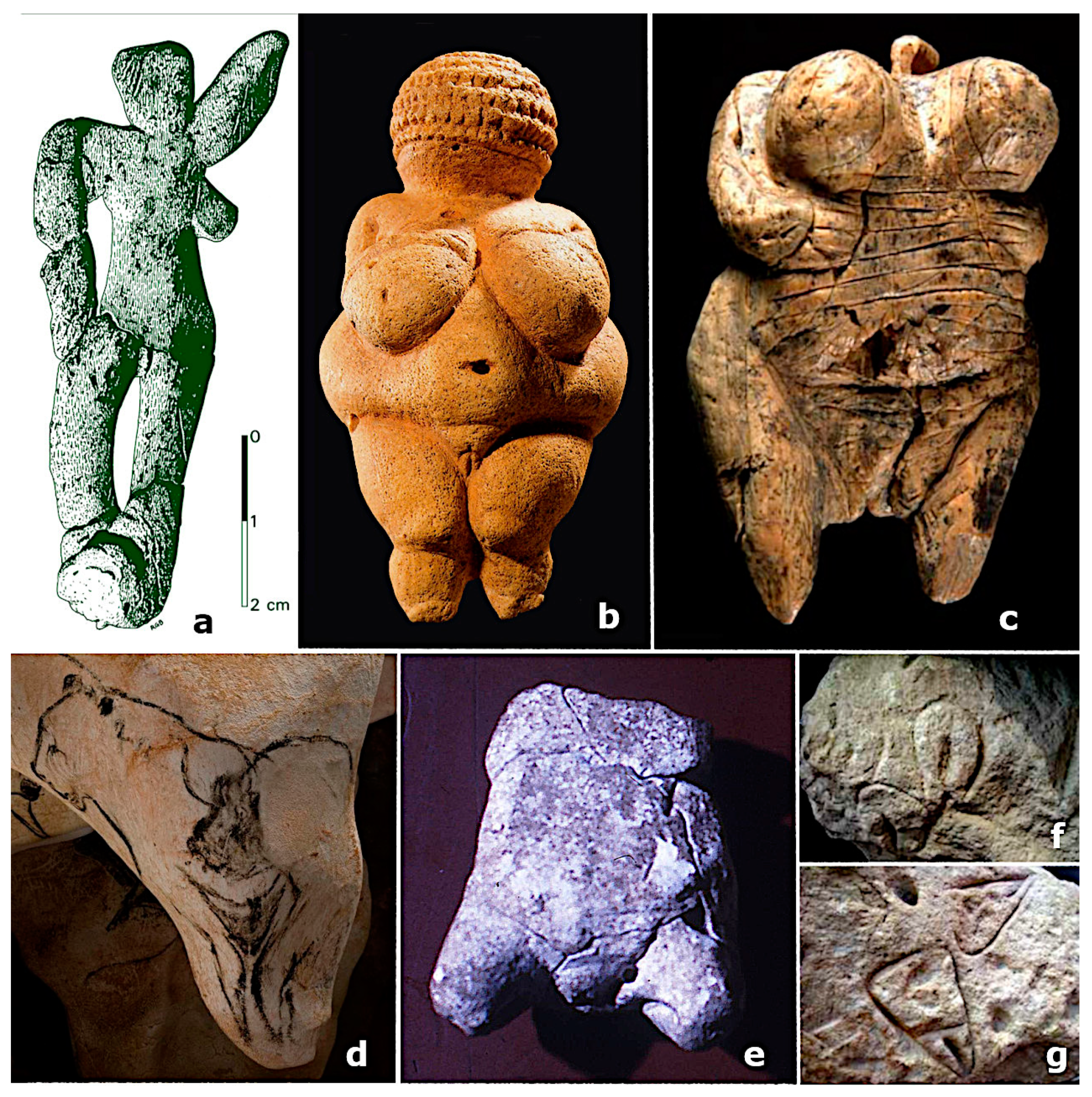 Encyclopedia 03 00067 g001 Encyclopedia 03 00067 g001