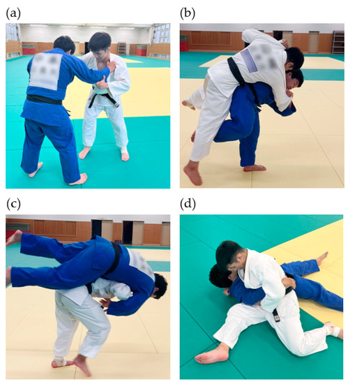 Benefits of Judo Training for Brain Functions Related to Physical 