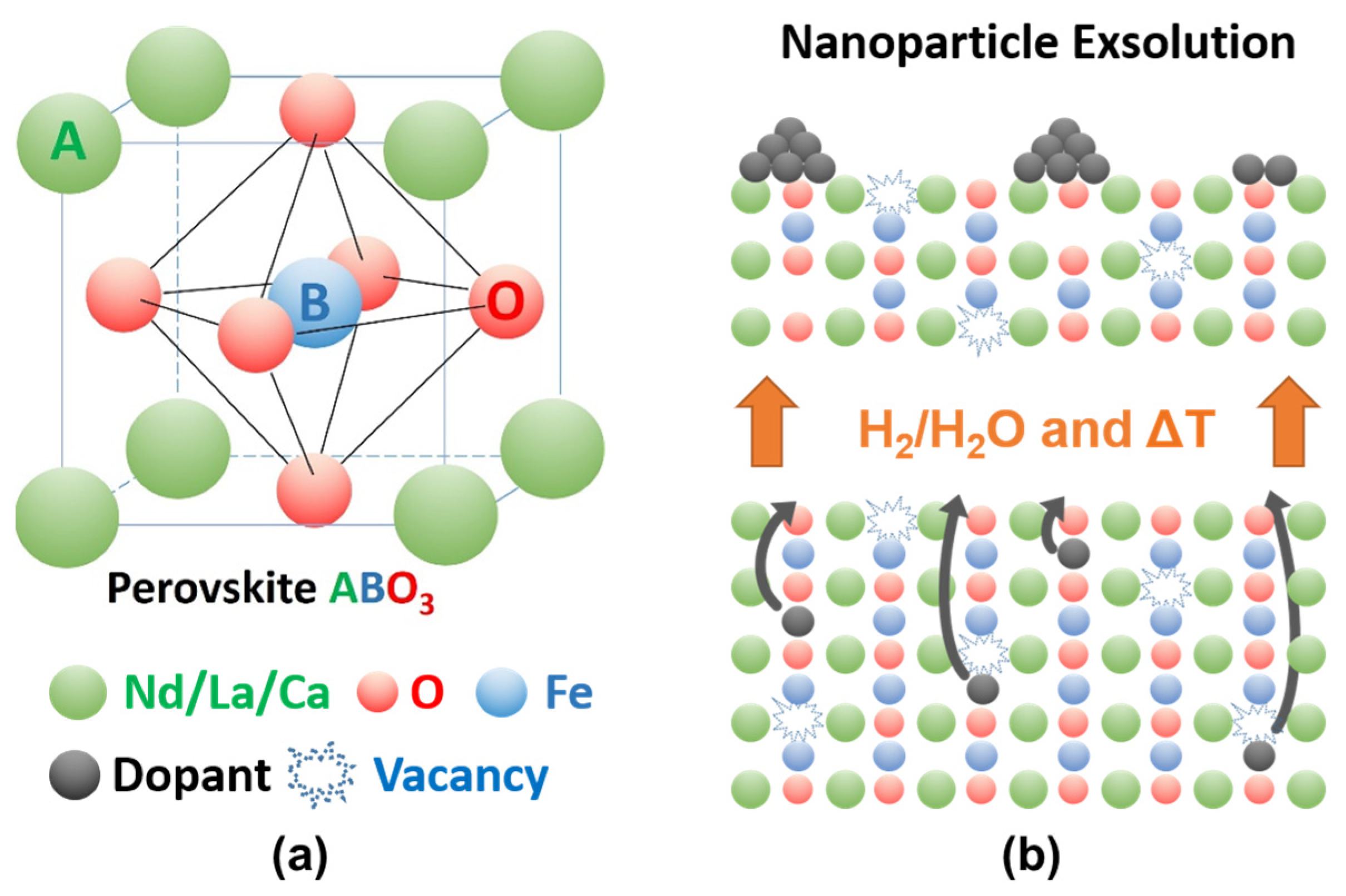 Encyclopedia 03 00104 g002