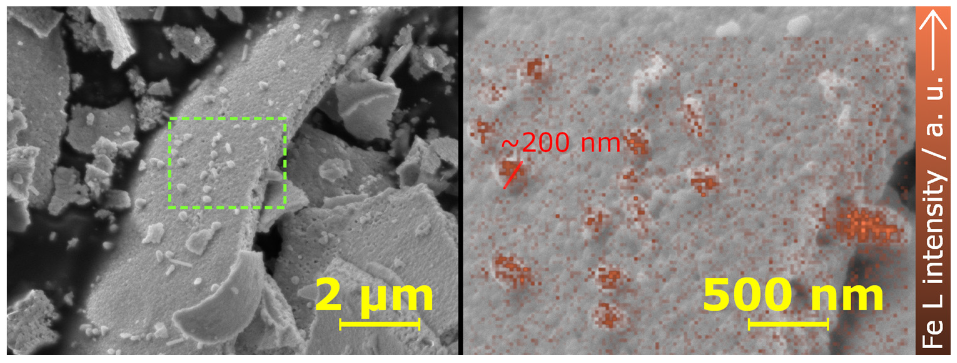 Encyclopedia 03 00104 g003