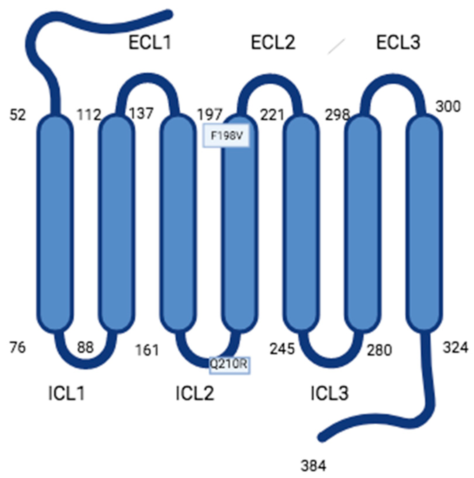 Encyclopedia 03 00107 g001 Encyclopedia 03 00107 g001