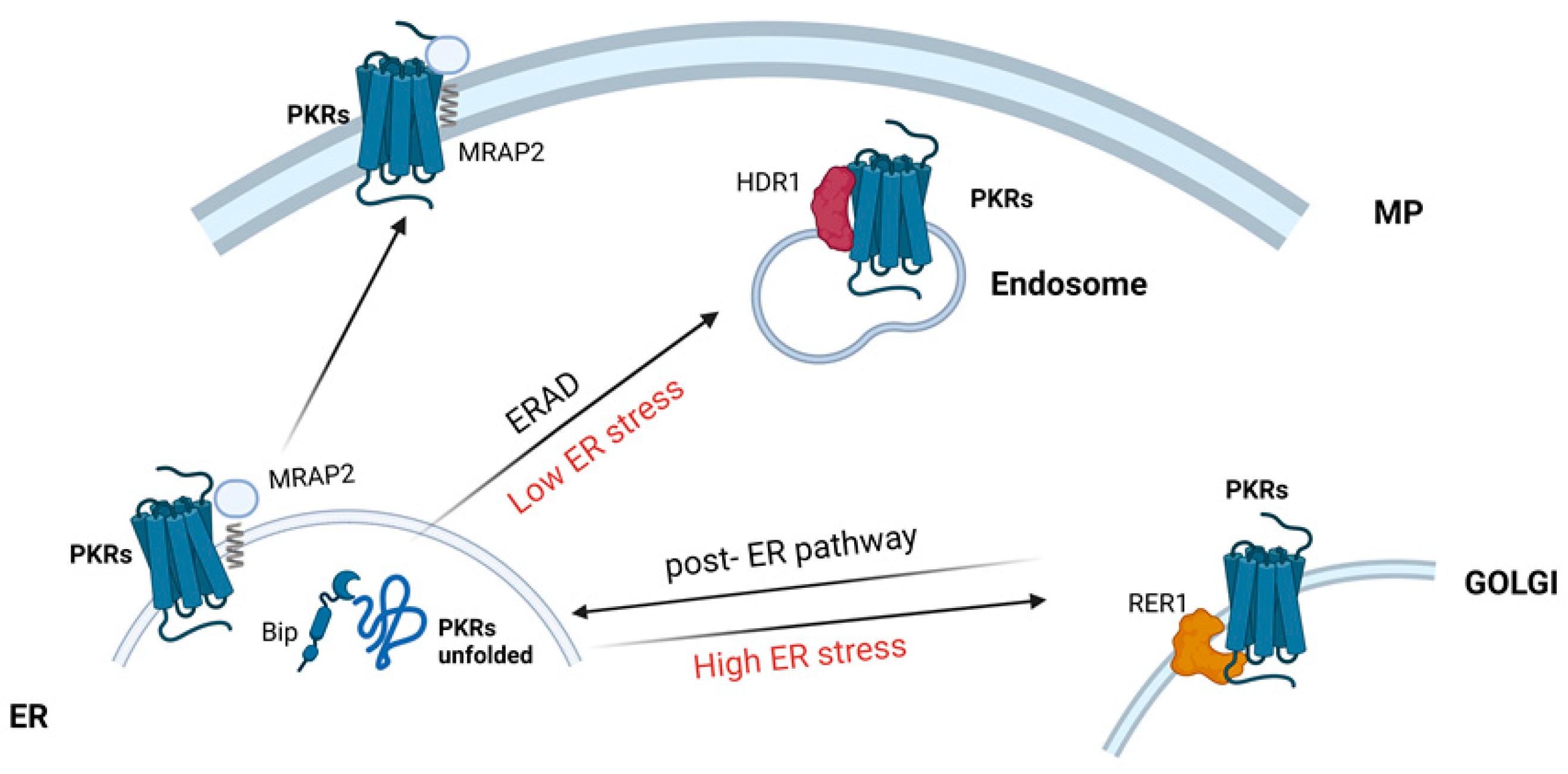 Encyclopedia 03 00107 g002 Encyclopedia 03 00107 g002
