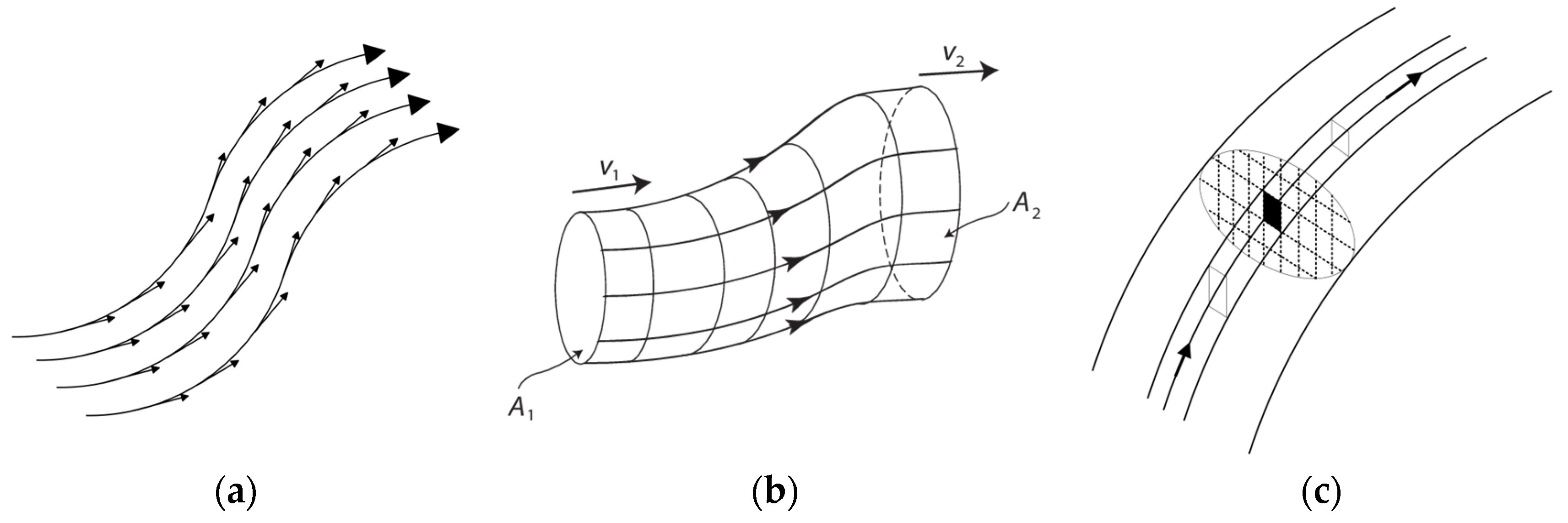 Encyclopedia 04 00002 g001