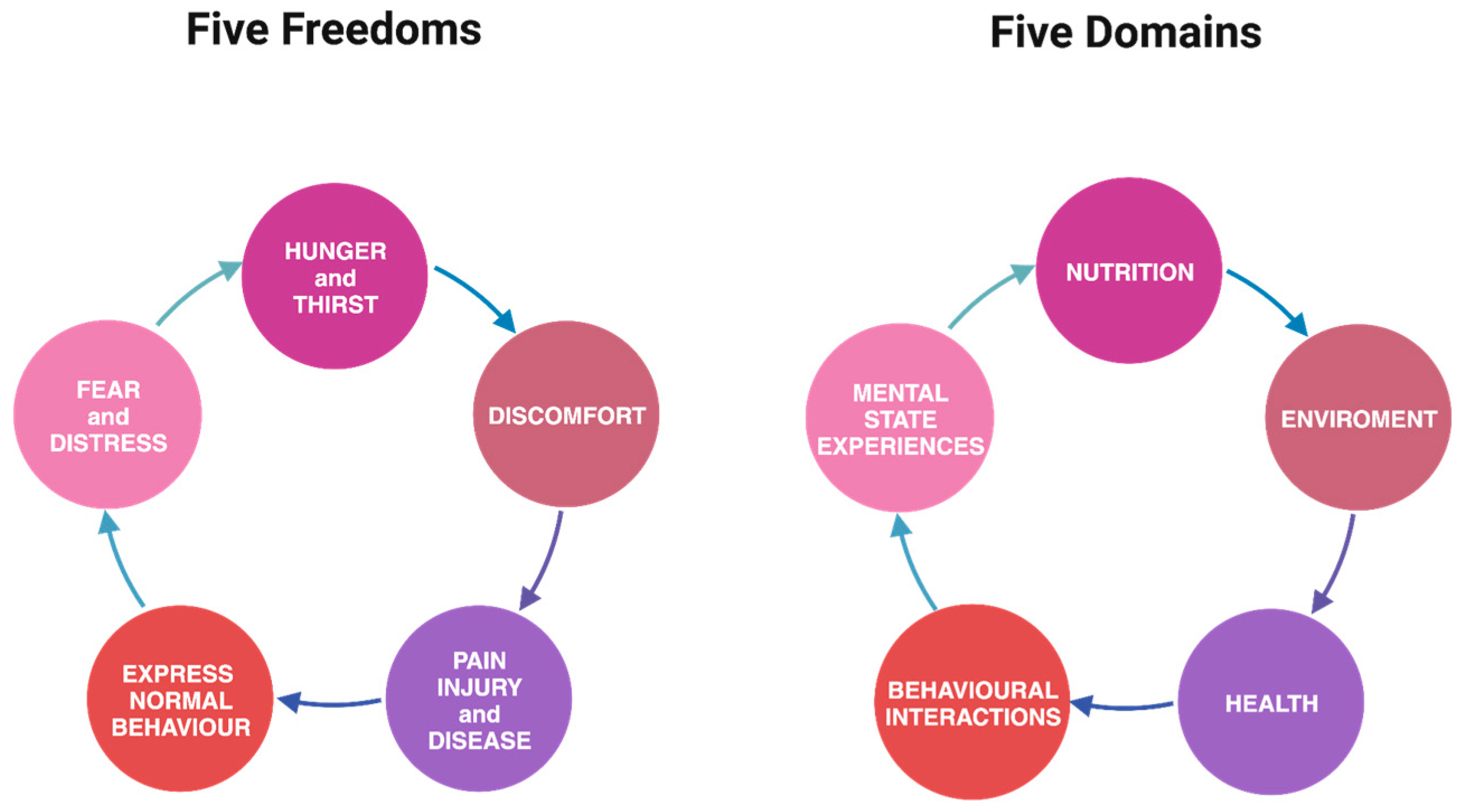 Encyclopedia 04 00018 g001 Encyclopedia 04 00018 g001