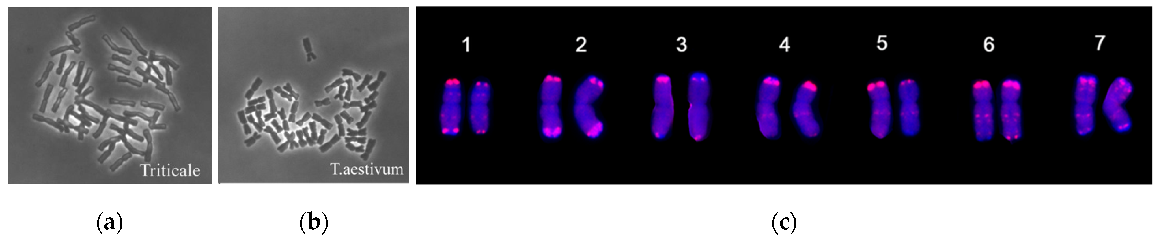 Encyclopedia 04 00027 g002