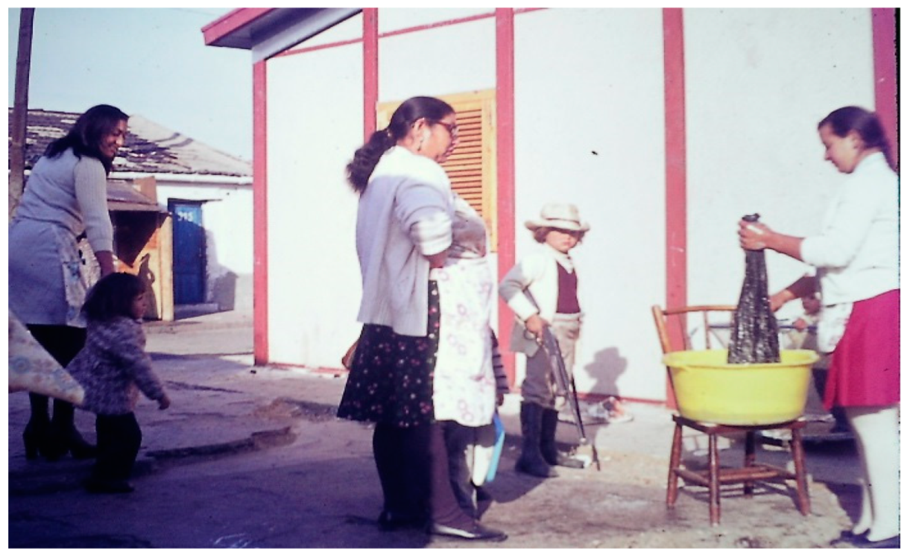 Encyclopedia 04 00030 g008