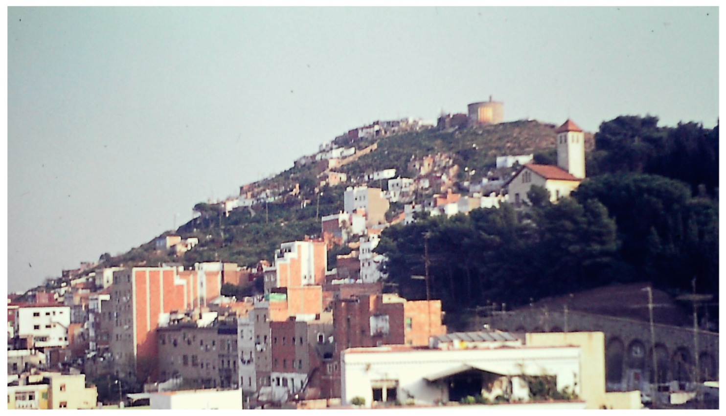 Encyclopedia 04 00030 g014