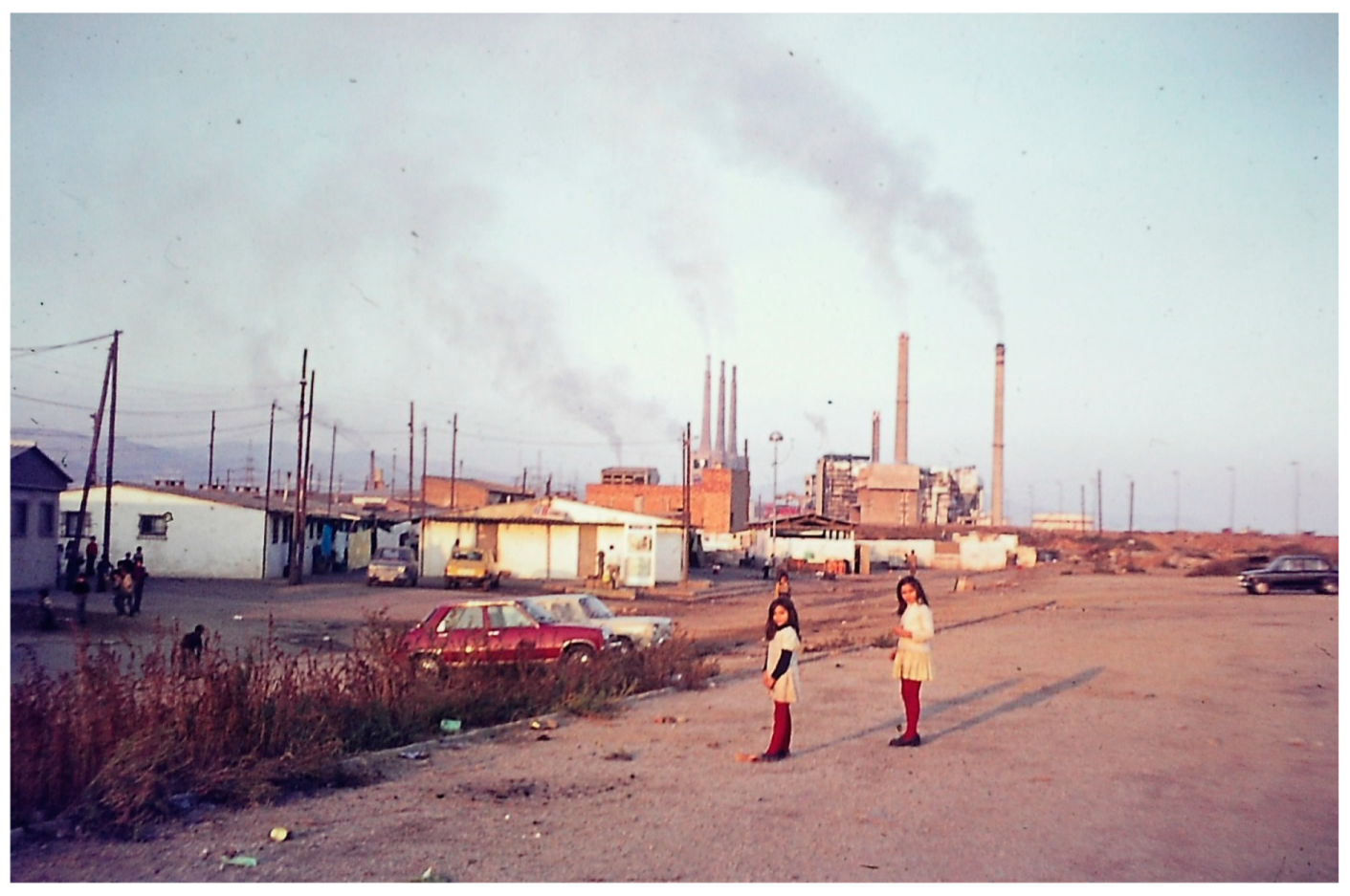 Encyclopedia 04 00030 g023