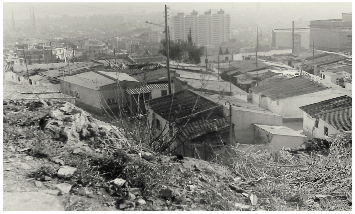 Encyclopedia 04 00030 g026