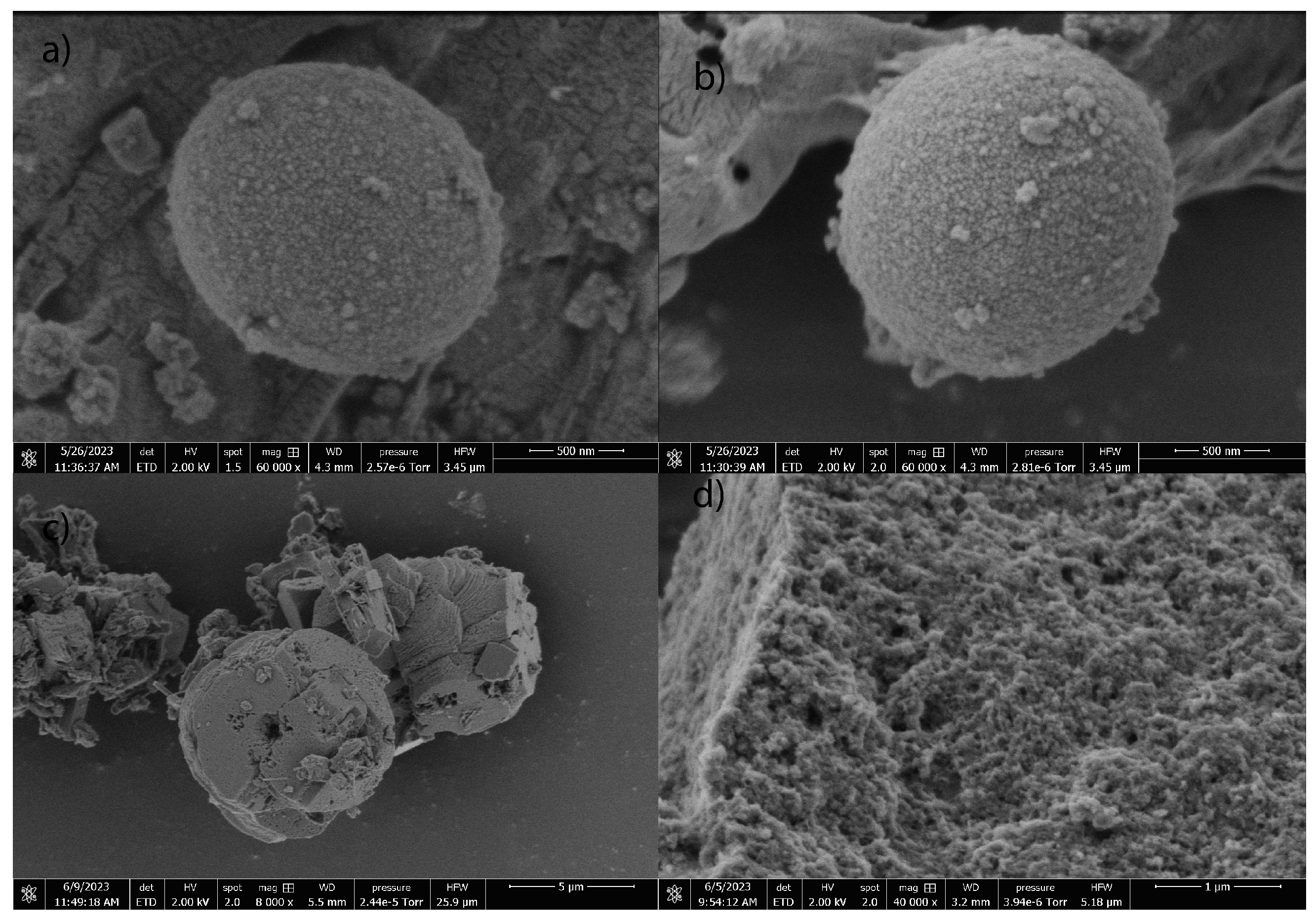 Encyclopedia 04 00034 g003