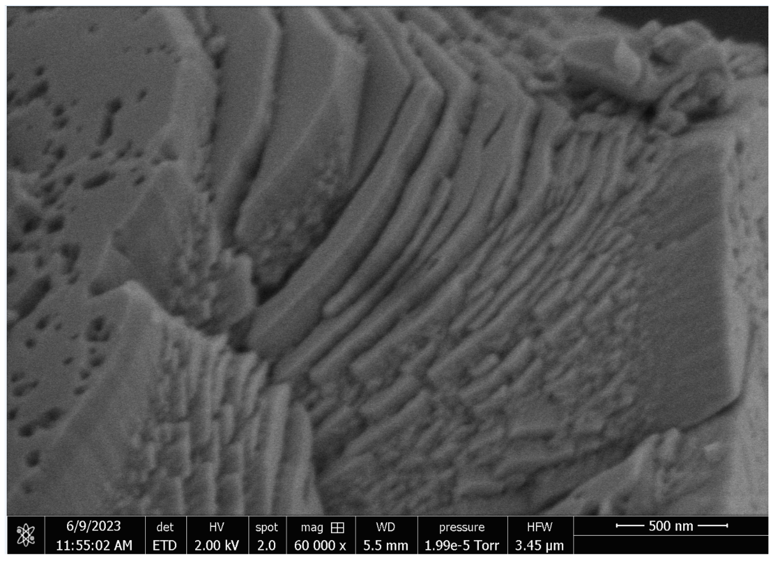 Encyclopedia 04 00034 g009