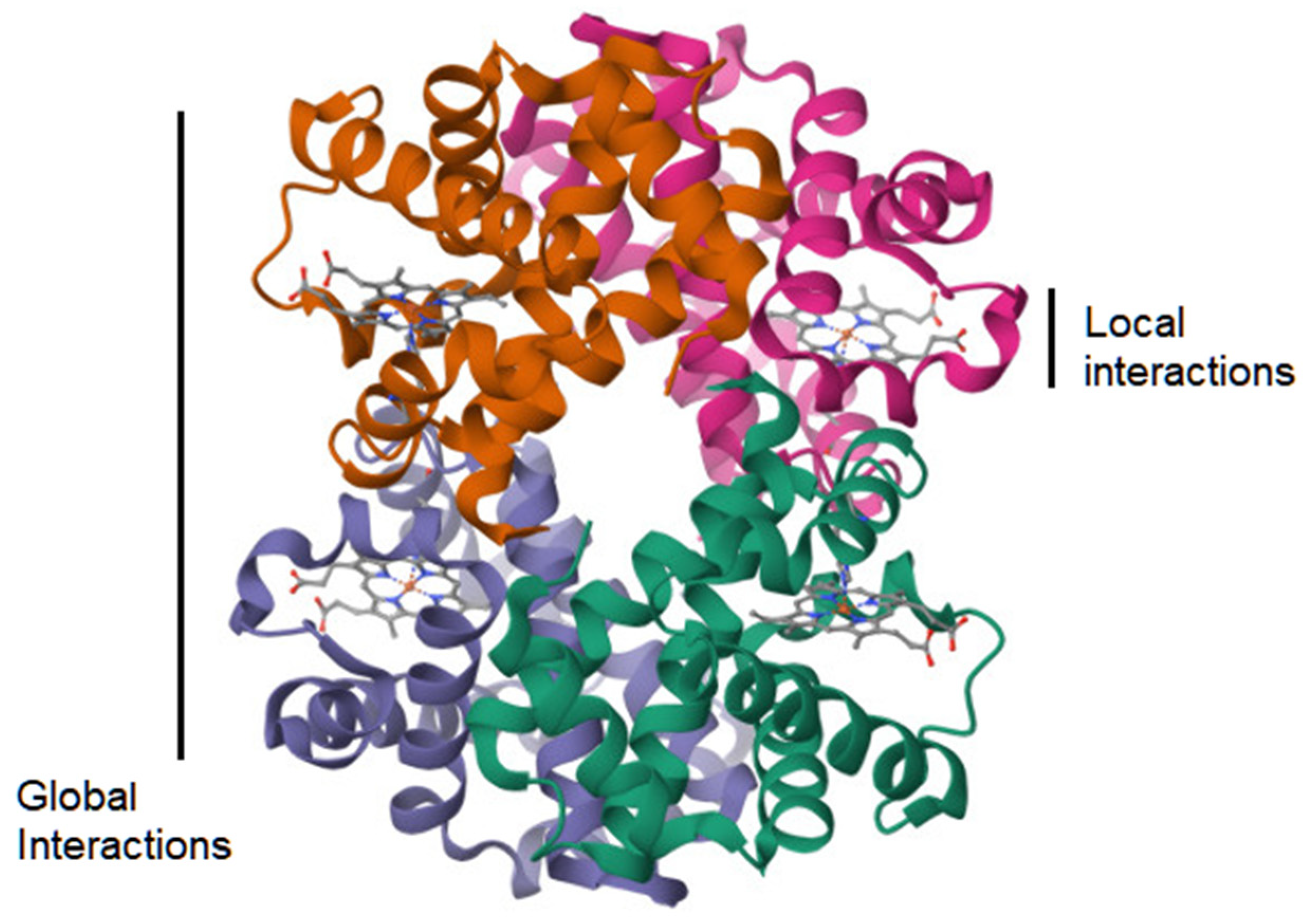 Encyclopedia 04 00038 g002