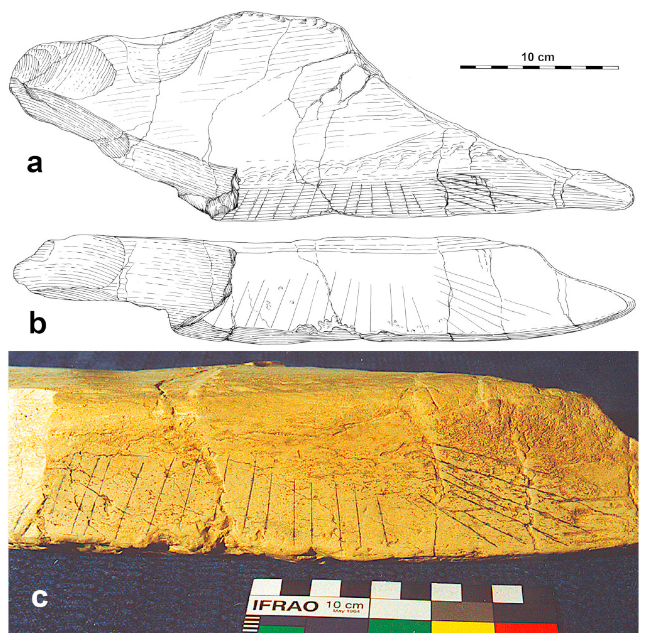 Encyclopedia 04 00043 g001