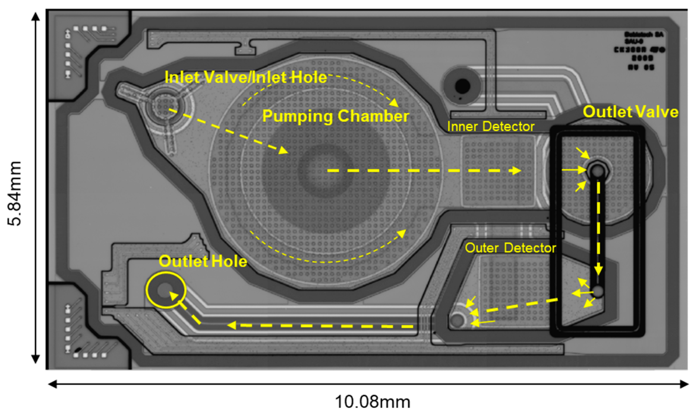 Encyclopedia 04 00052 g003 Encyclopedia 04 00052 g003