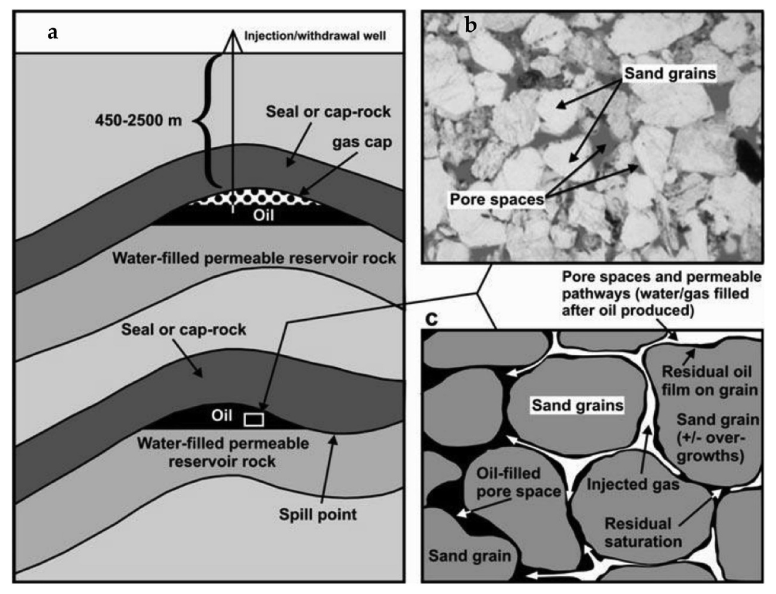 Encyclopedia 04 00054 g004