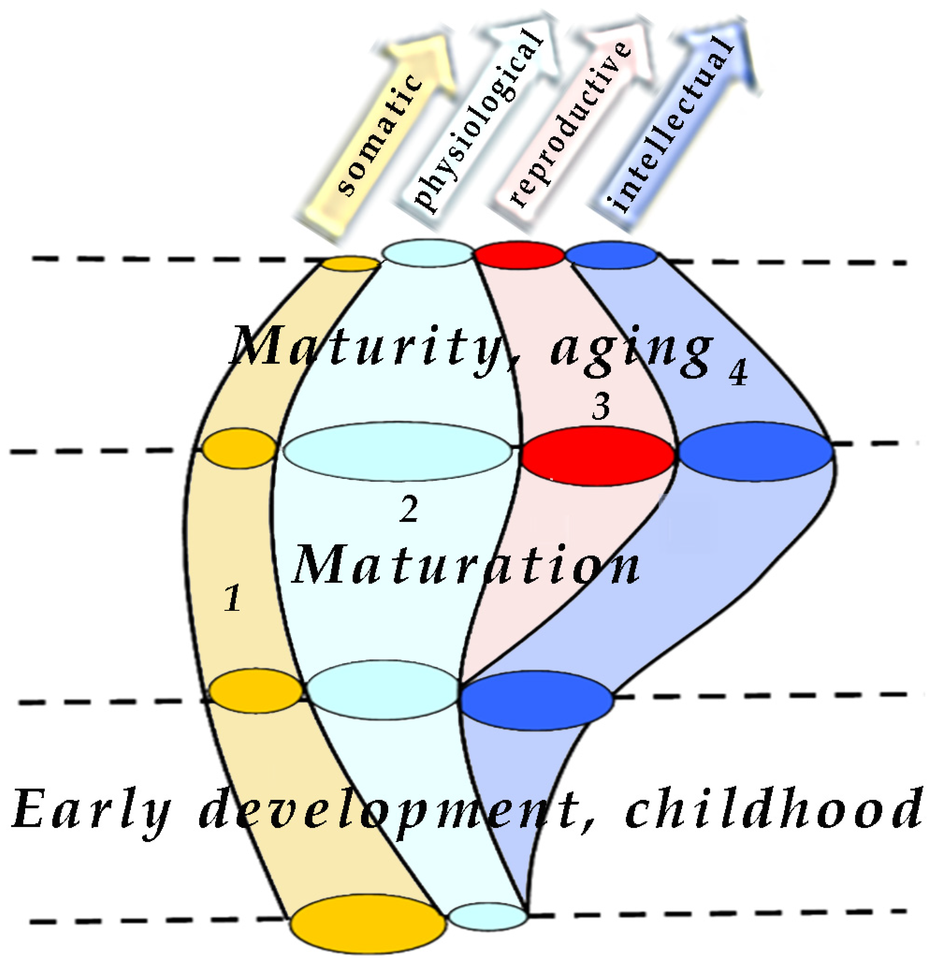 Encyclopedia 04 00058 g001