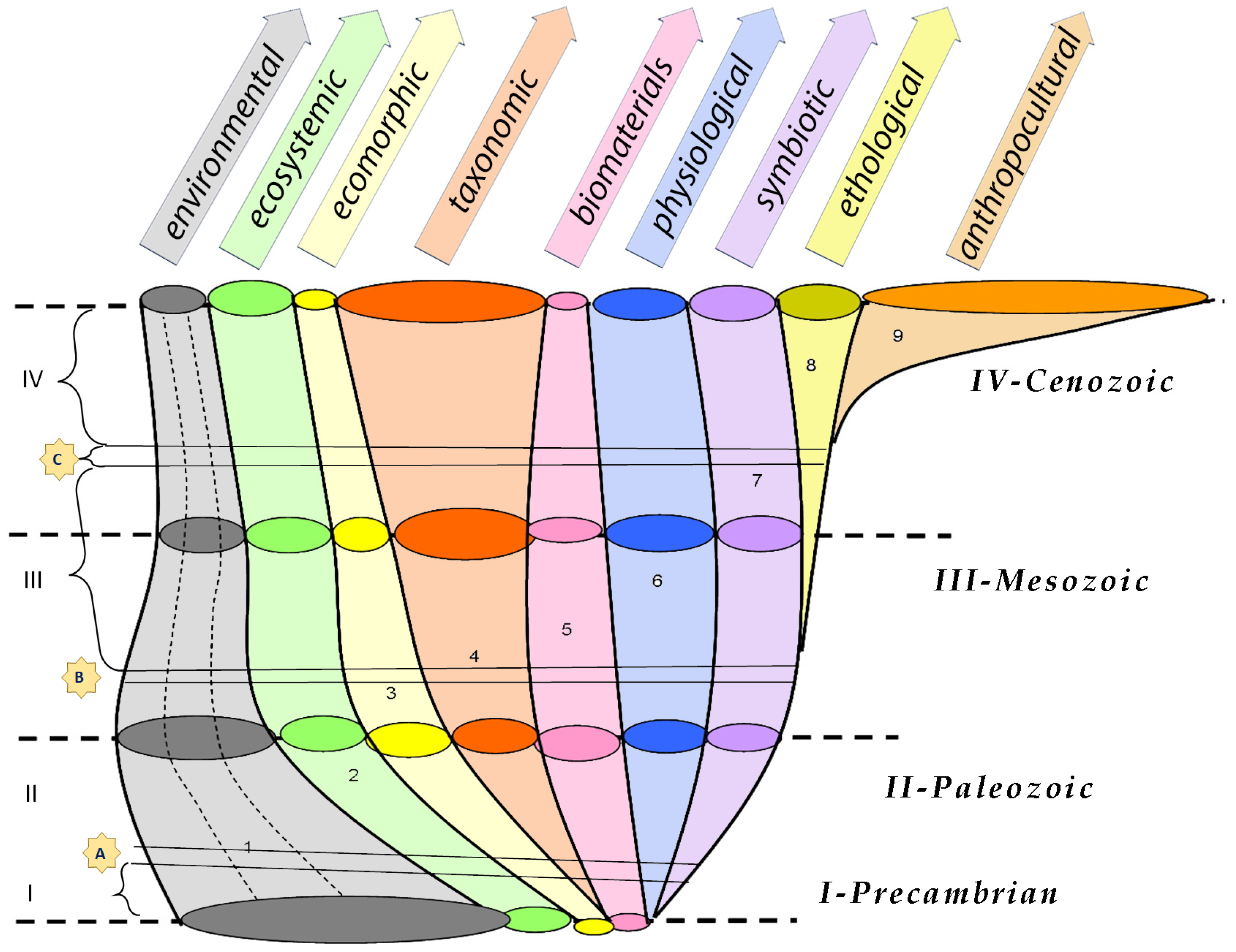 Encyclopedia 04 00058 g002