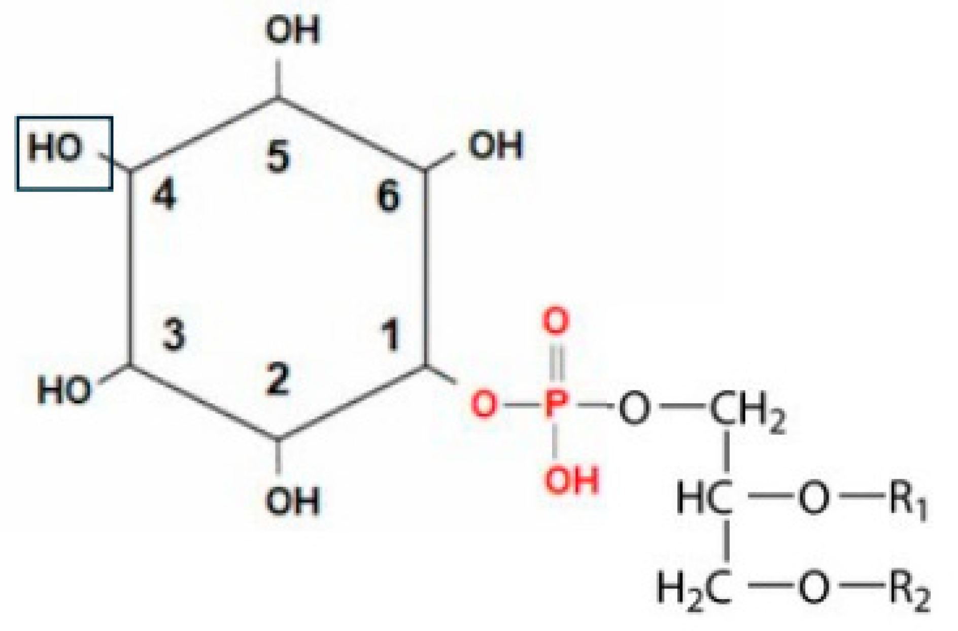 Encyclopedia 04 00068 g001 Encyclopedia 04 00068 g001