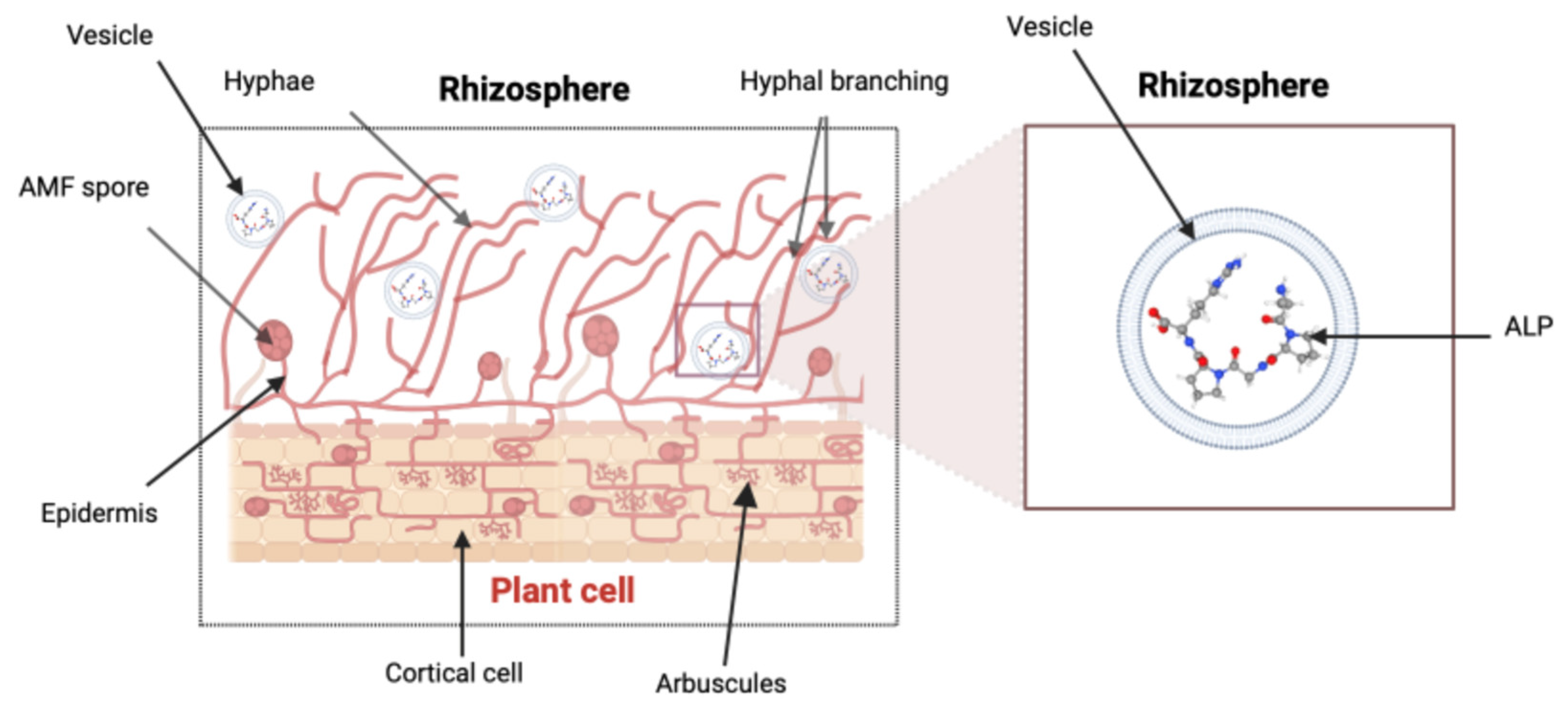 Encyclopedia 04 00077 g011