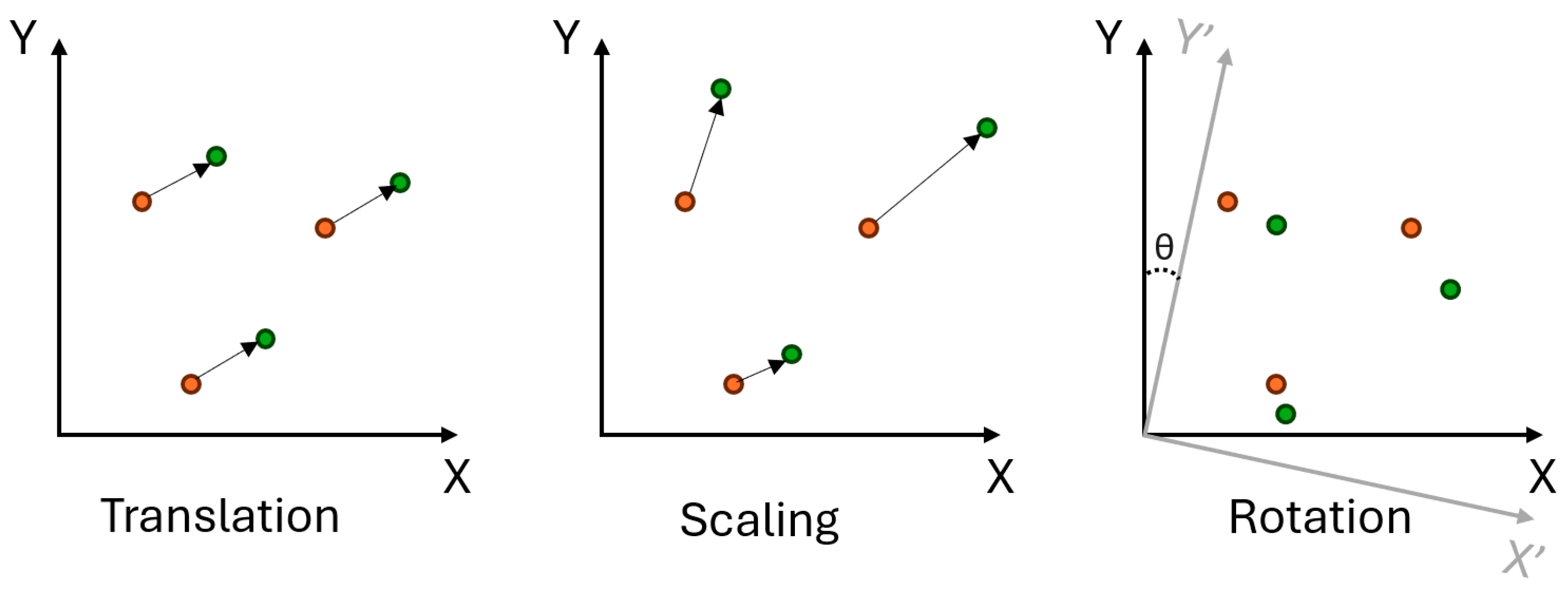 Encyclopedia 04 00103 g001