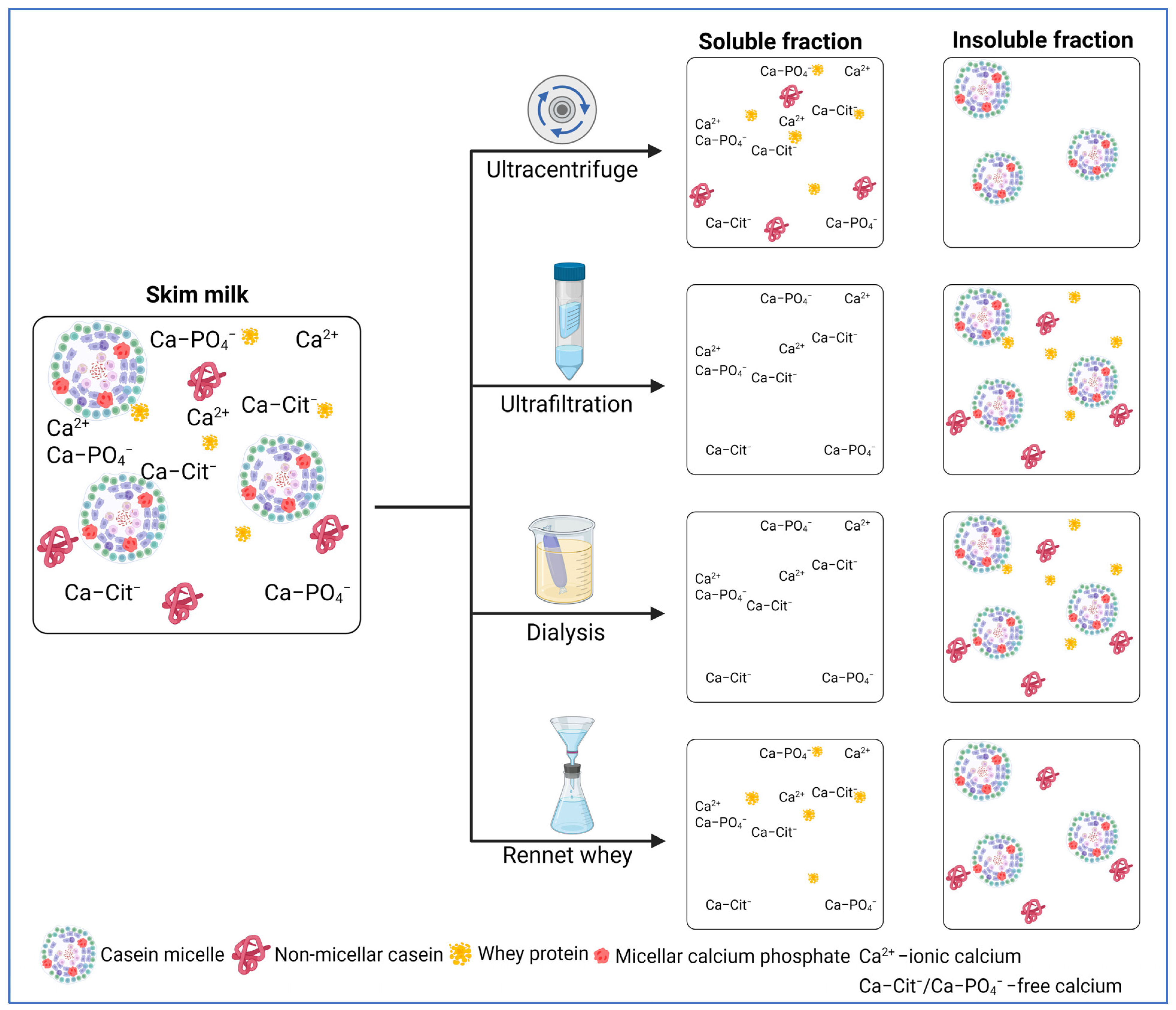 Encyclopedia 04 00107 g001