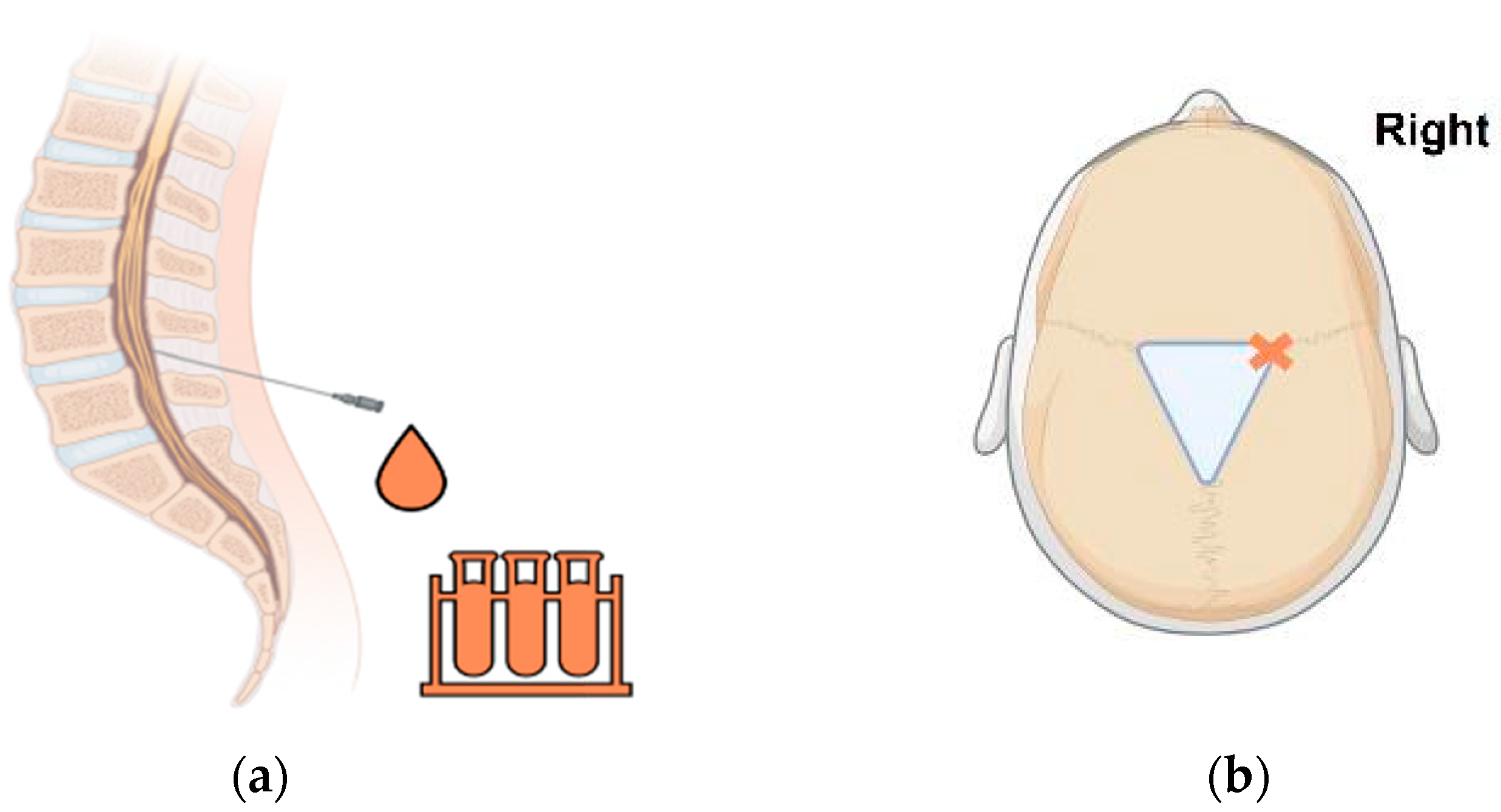 Encyclopedia 04 00127 g001 Encyclopedia 04 00127 g001