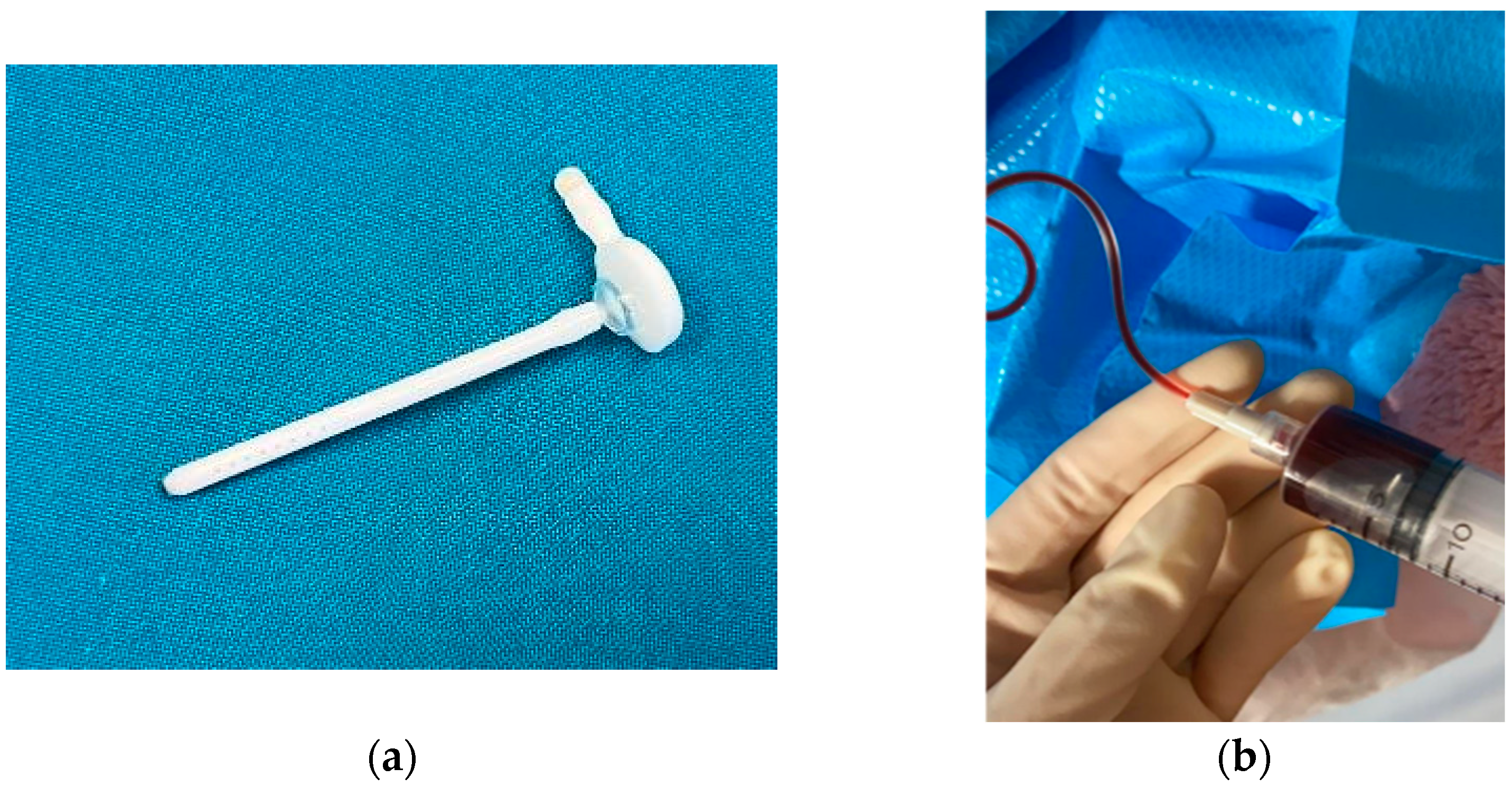 Encyclopedia 04 00127 g002 Encyclopedia 04 00127 g002