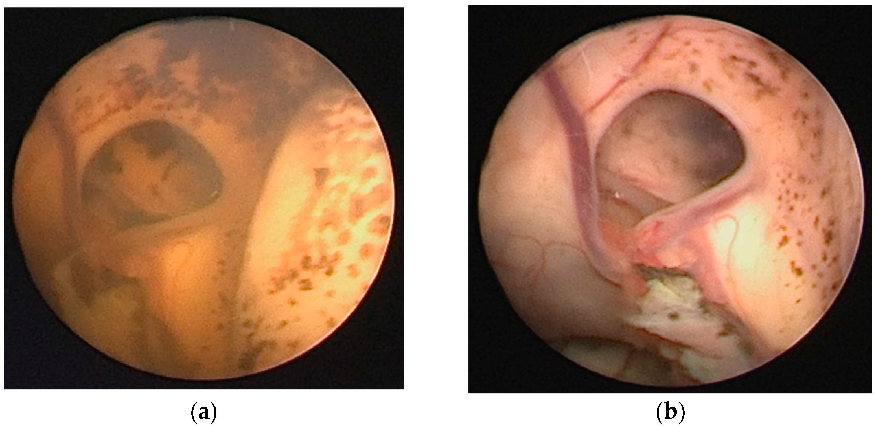 Encyclopedia 04 00127 g004 Encyclopedia 04 00127 g004