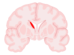 Encyclopedia 04 00127 i001 Encyclopedia 04 00127 i001