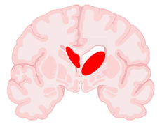 Encyclopedia 04 00127 i003 Encyclopedia 04 00127 i003