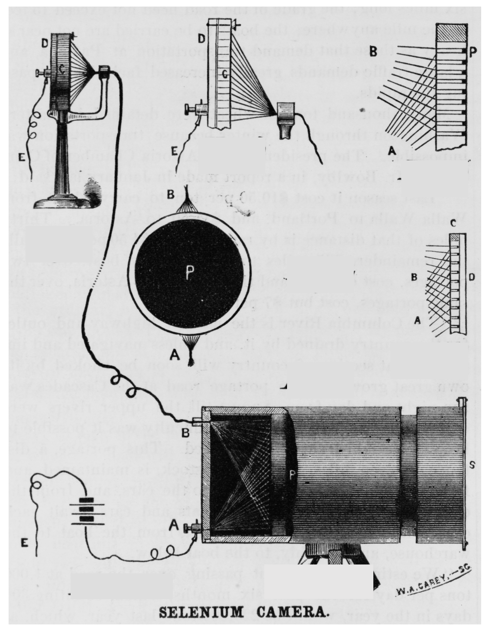 Encyclopedia 04 00128 g002