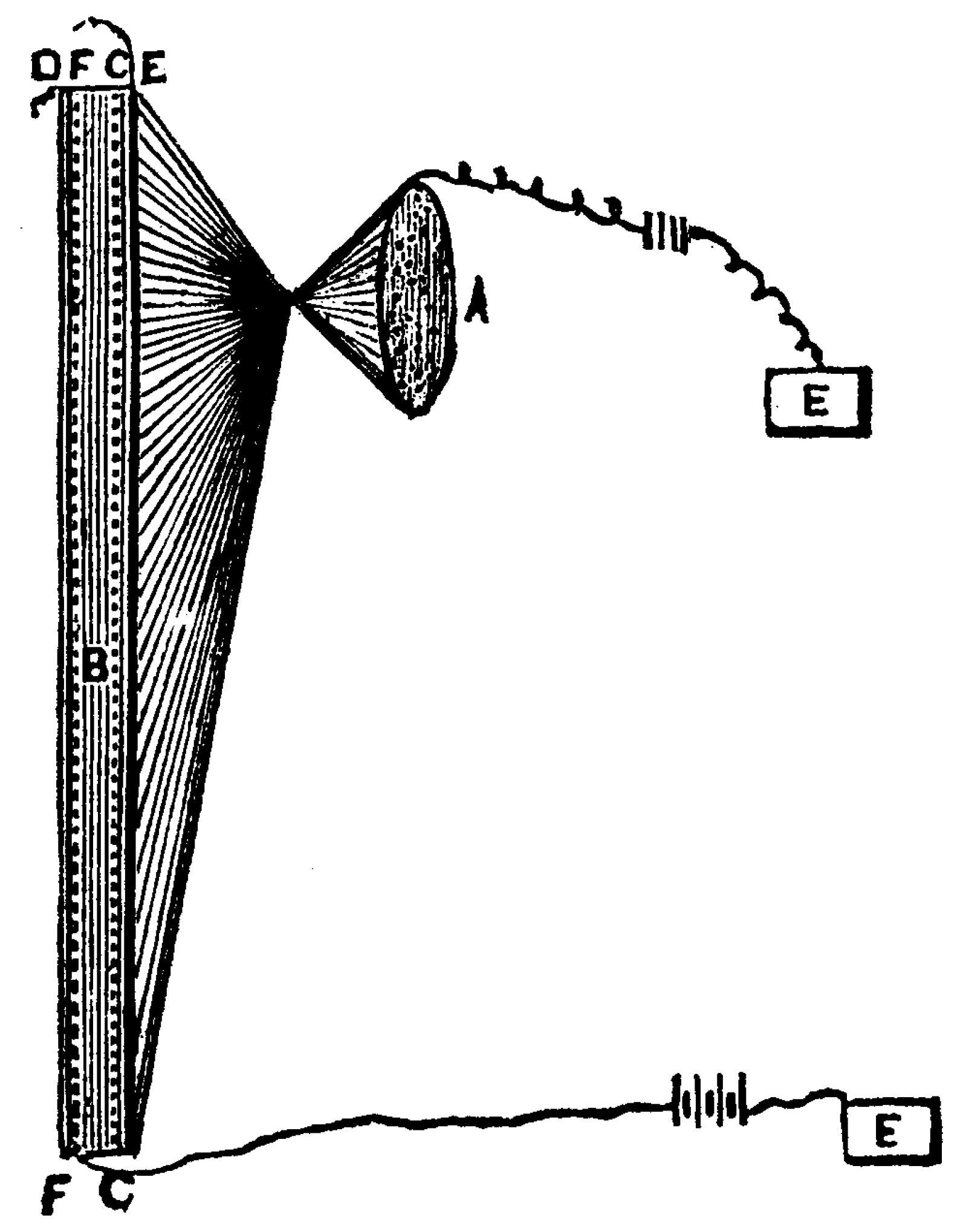 Encyclopedia 04 00128 g003