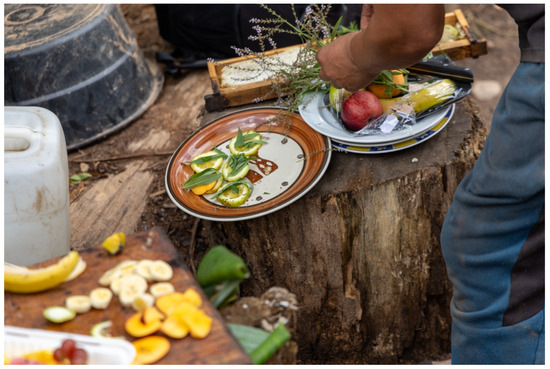 Anthropology of Food: History, Topics, and Trajectories to Understand a ...