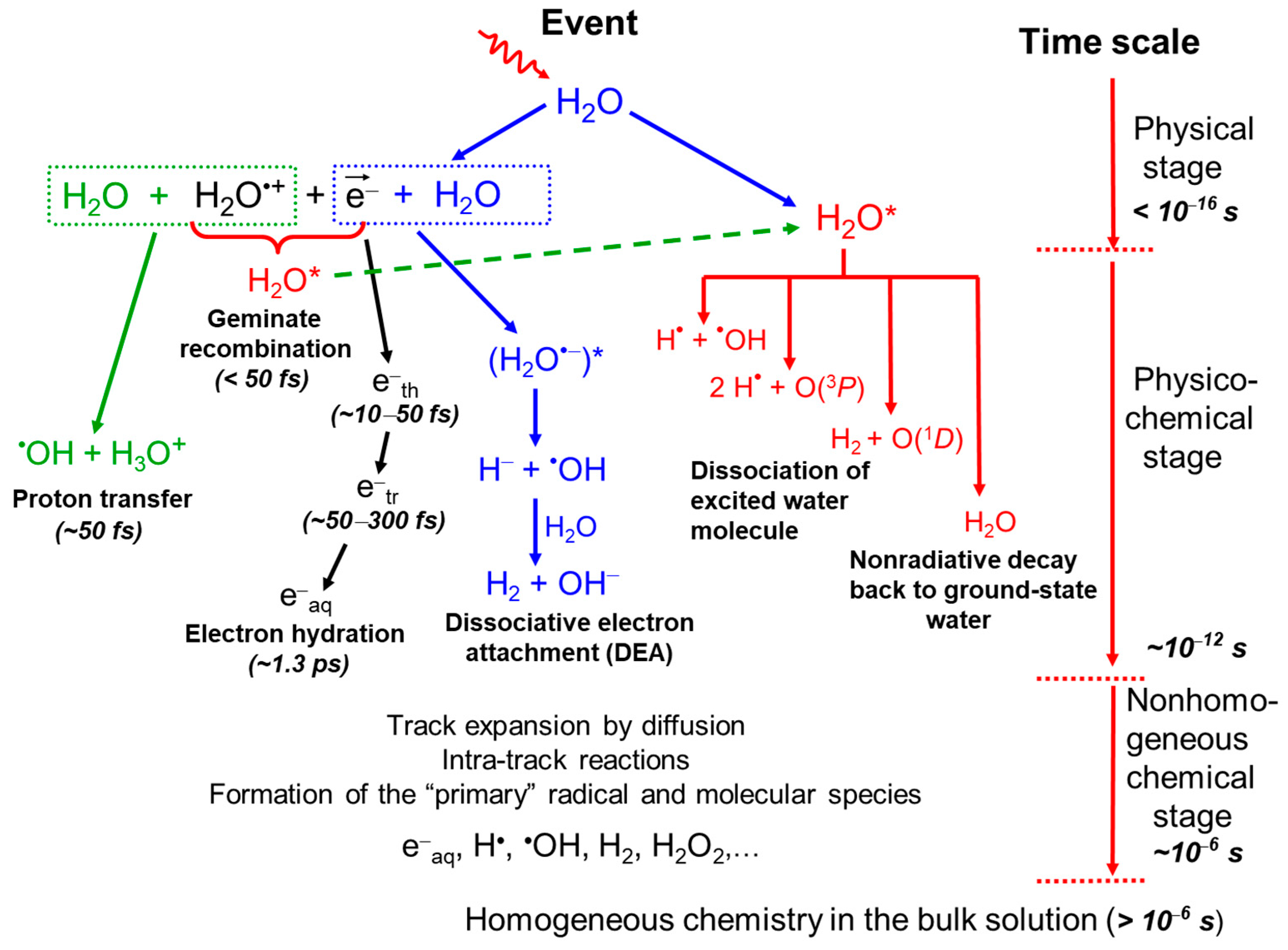 Encyclopedia 05 00038 g001