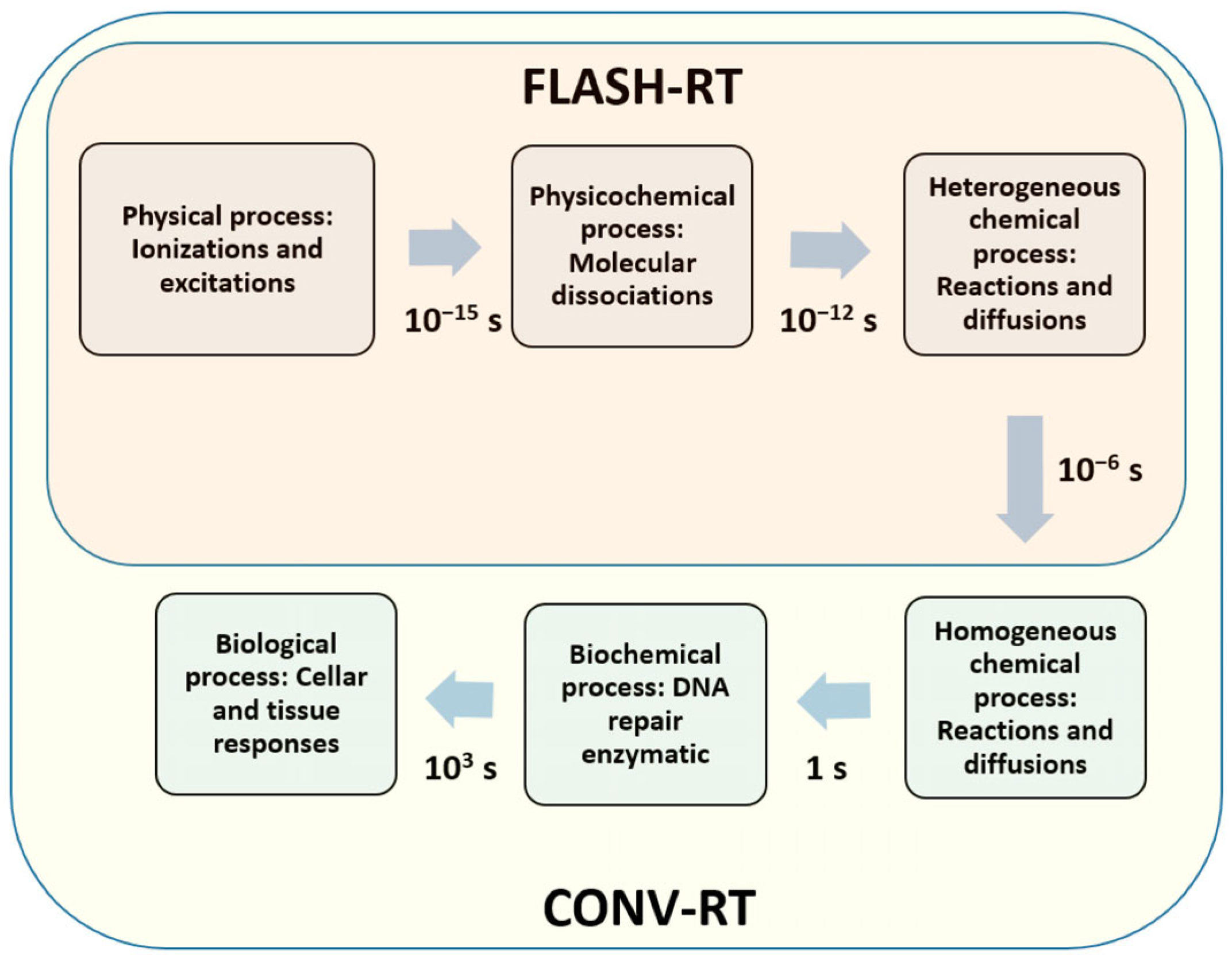 Encyclopedia 05 00040 g004