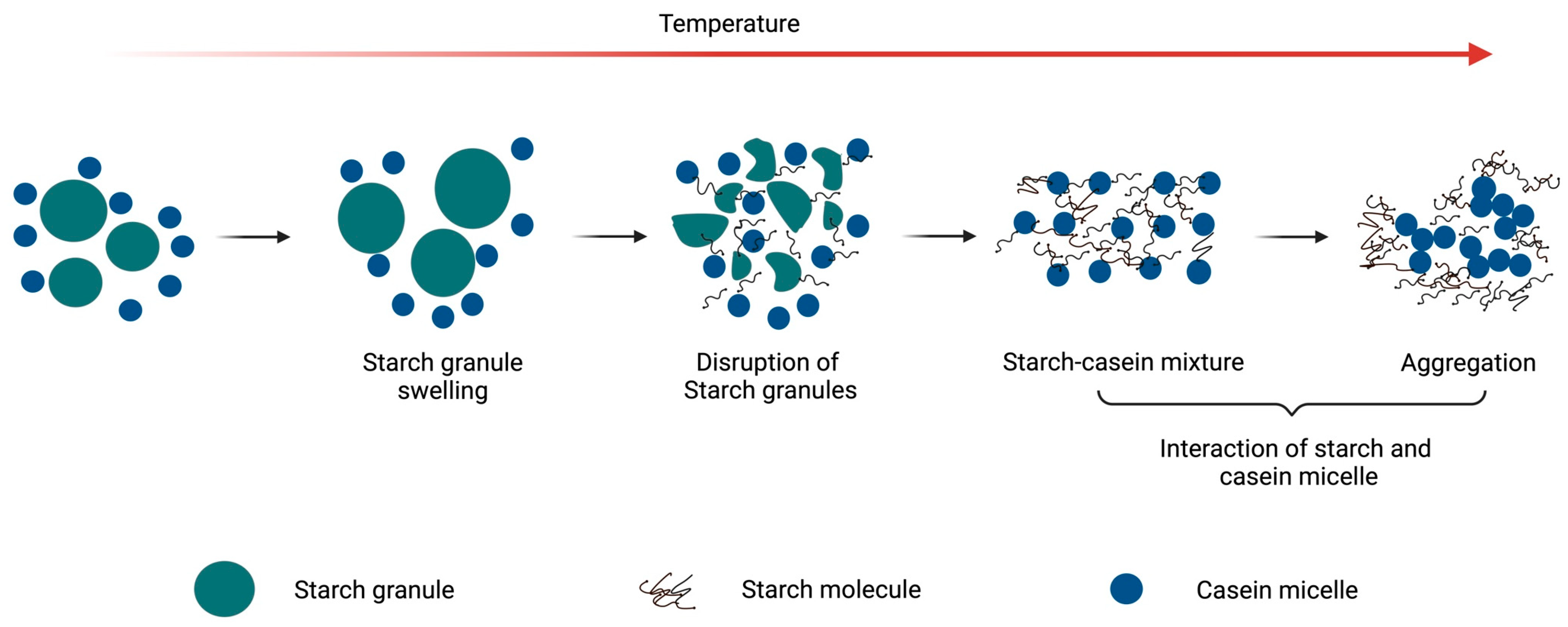 Encyclopedia 05 00041 g001