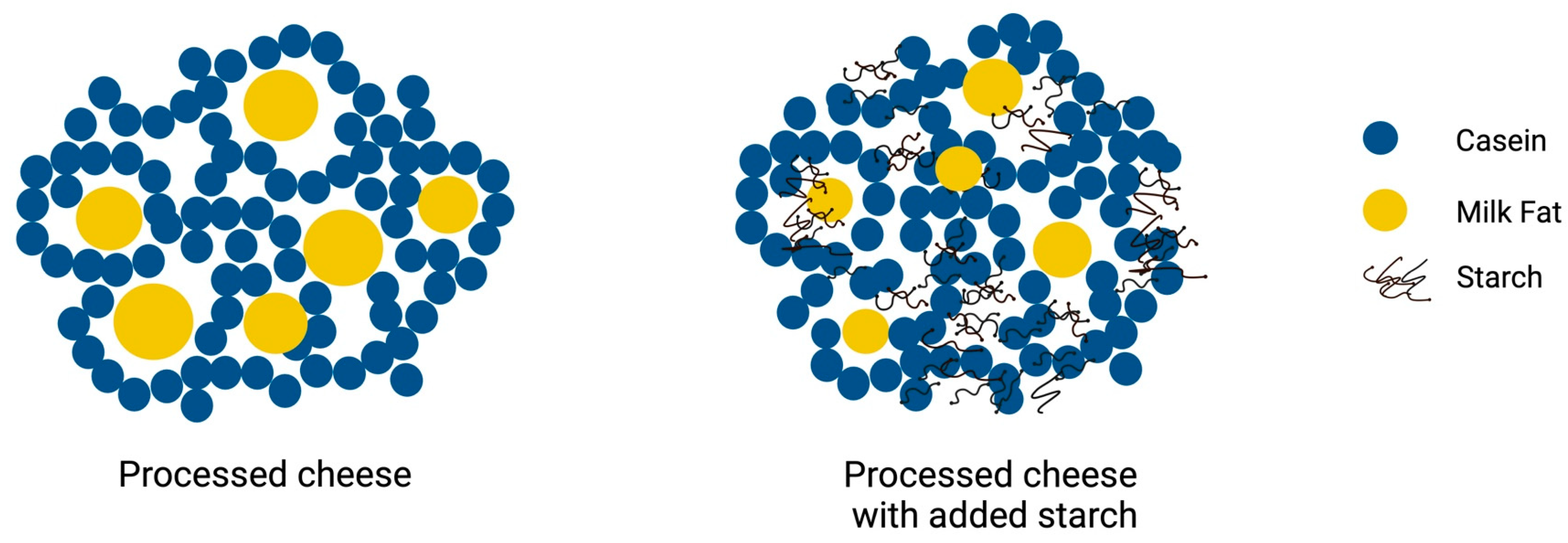 Encyclopedia 05 00041 g002
