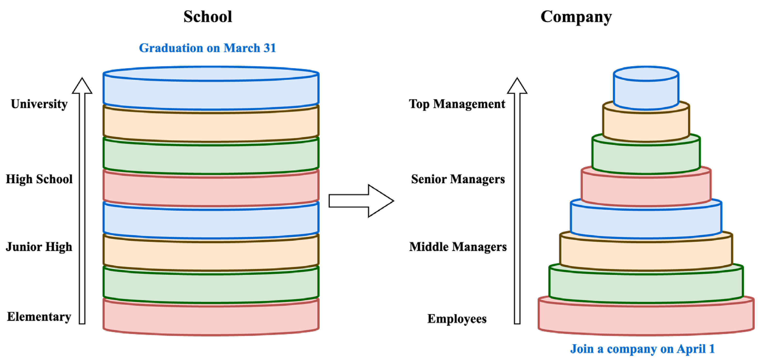 Encyclopedia 05 00049 g002 Encyclopedia 05 00049 g002