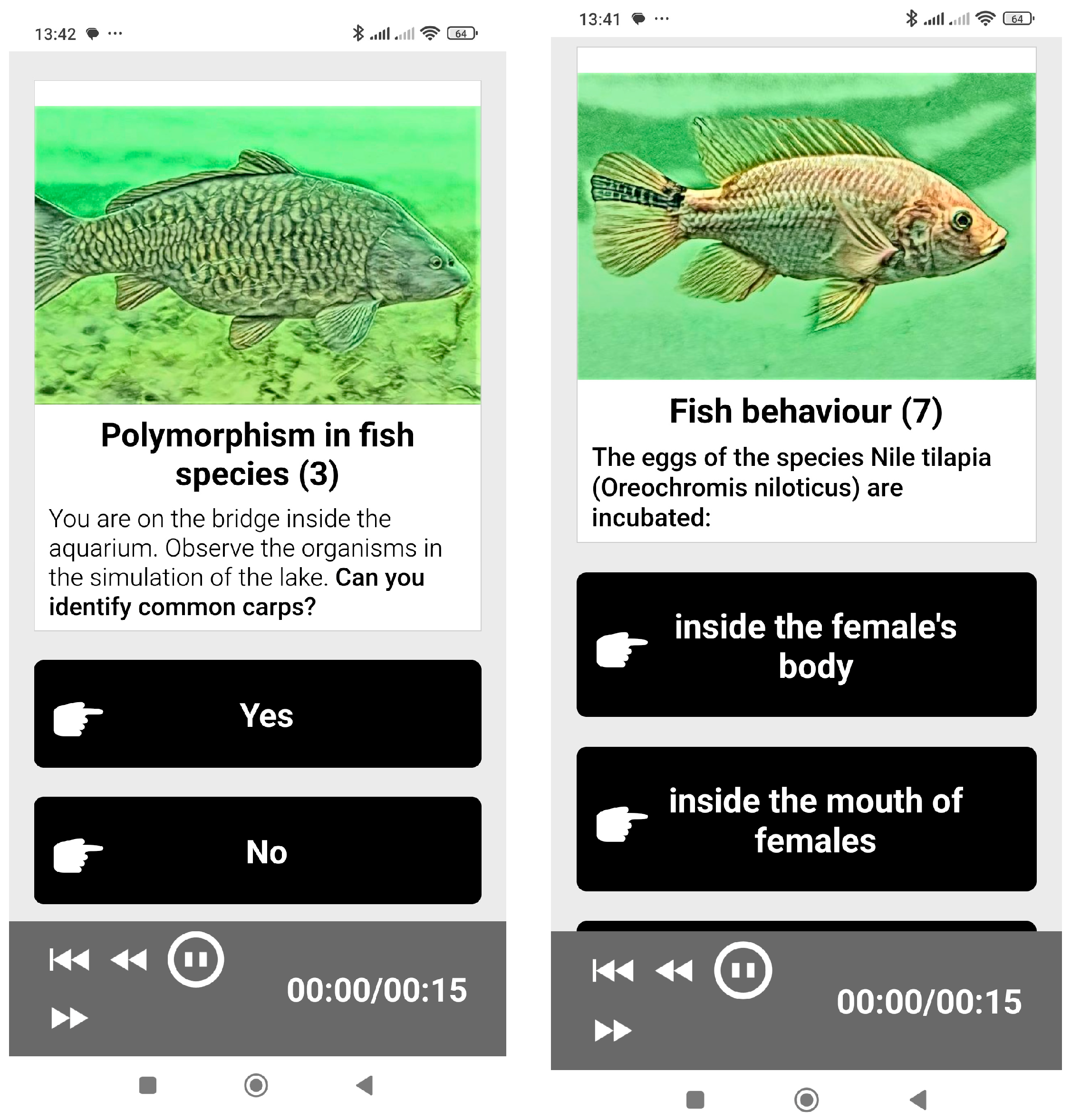 Encyclopedia 05 00054 g014