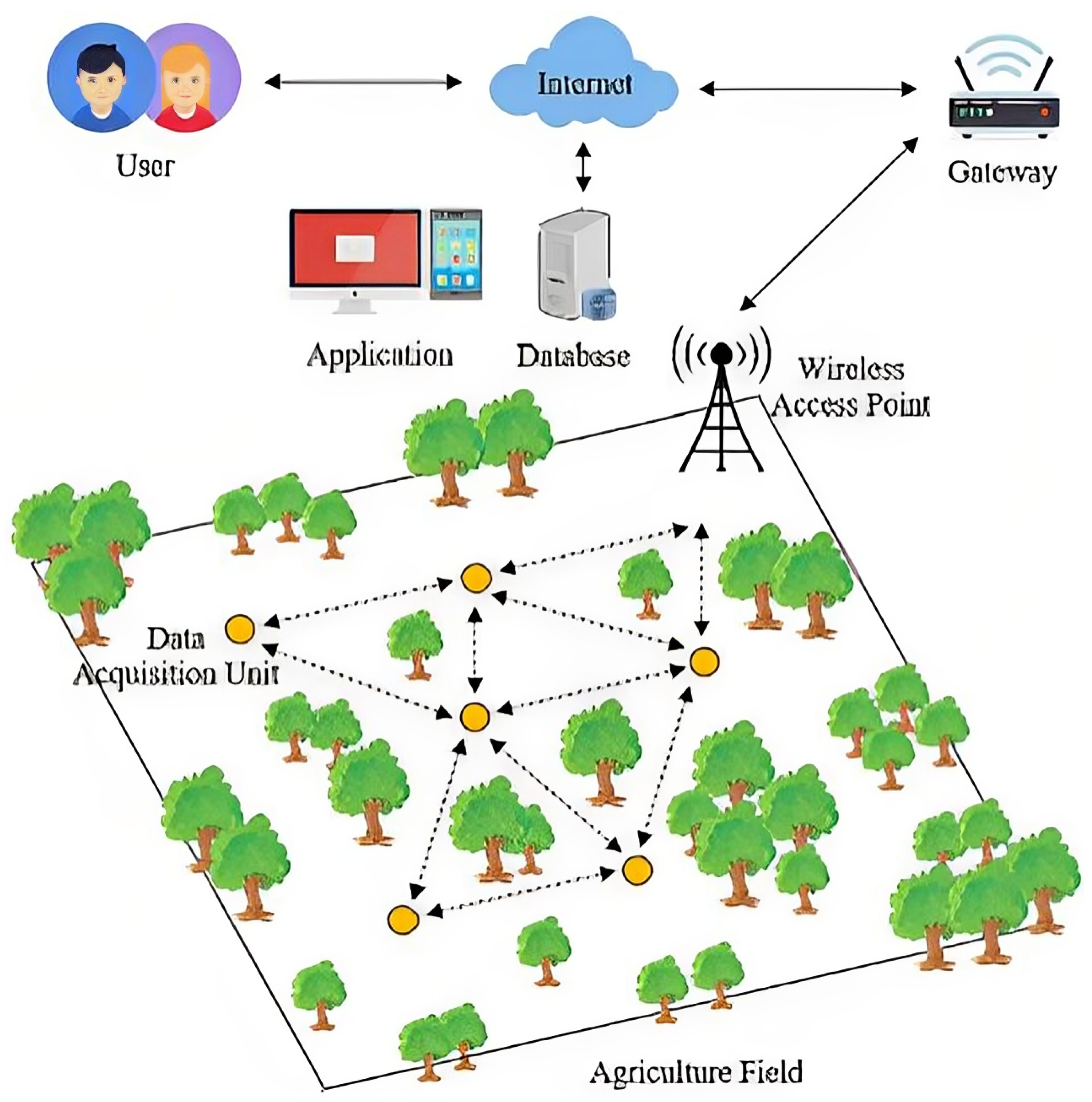 Encyclopedia 05 00067 g001