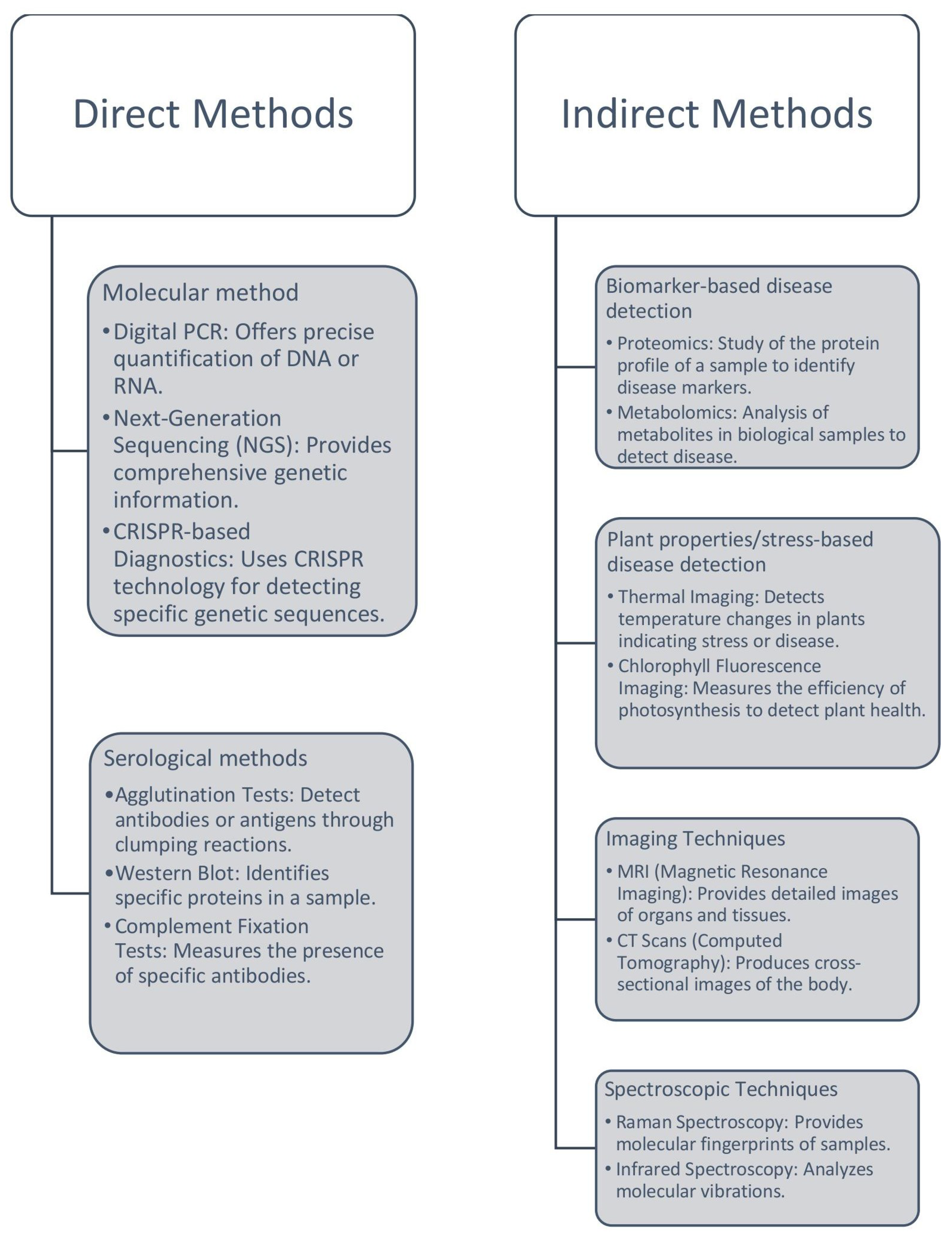 Encyclopedia 05 00067 g007