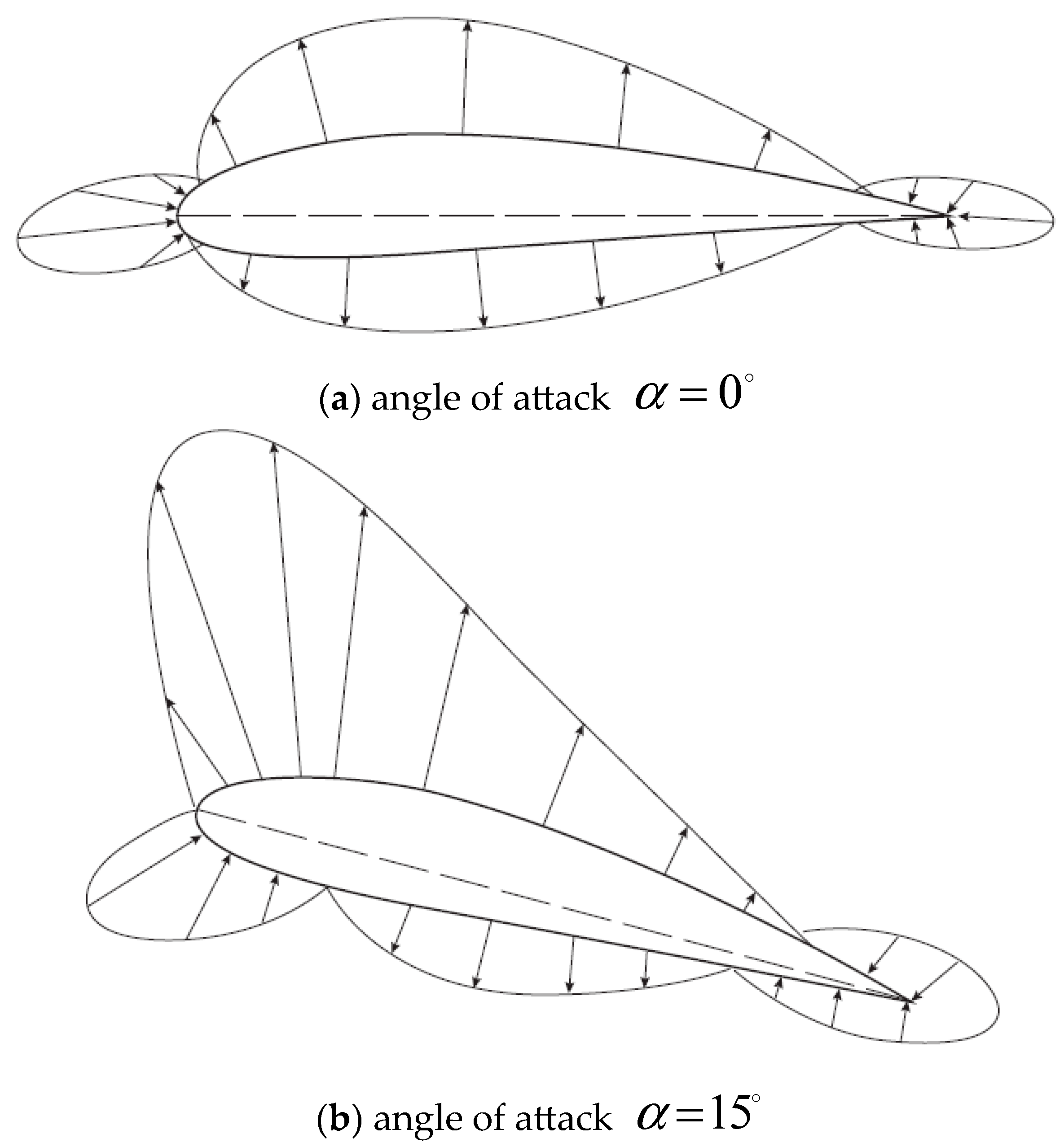 Encyclopedia 05 00101 g005 Encyclopedia 05 00101 g005