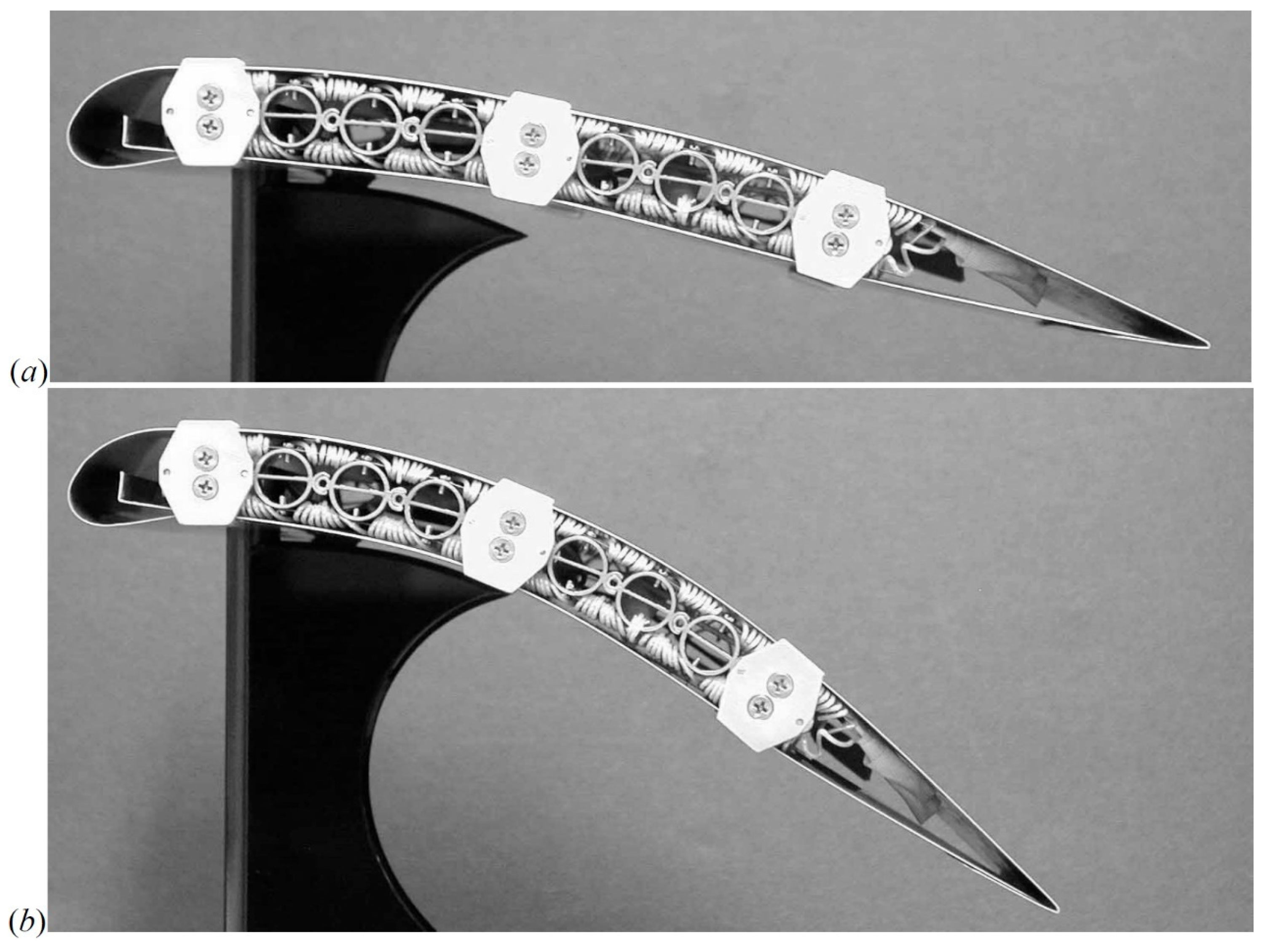 Encyclopedia 05 00101 g027 Encyclopedia 05 00101 g027